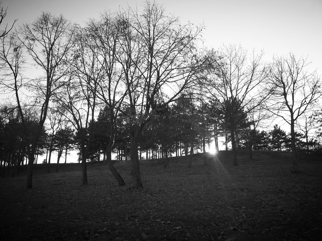 20230108_153338.jpg