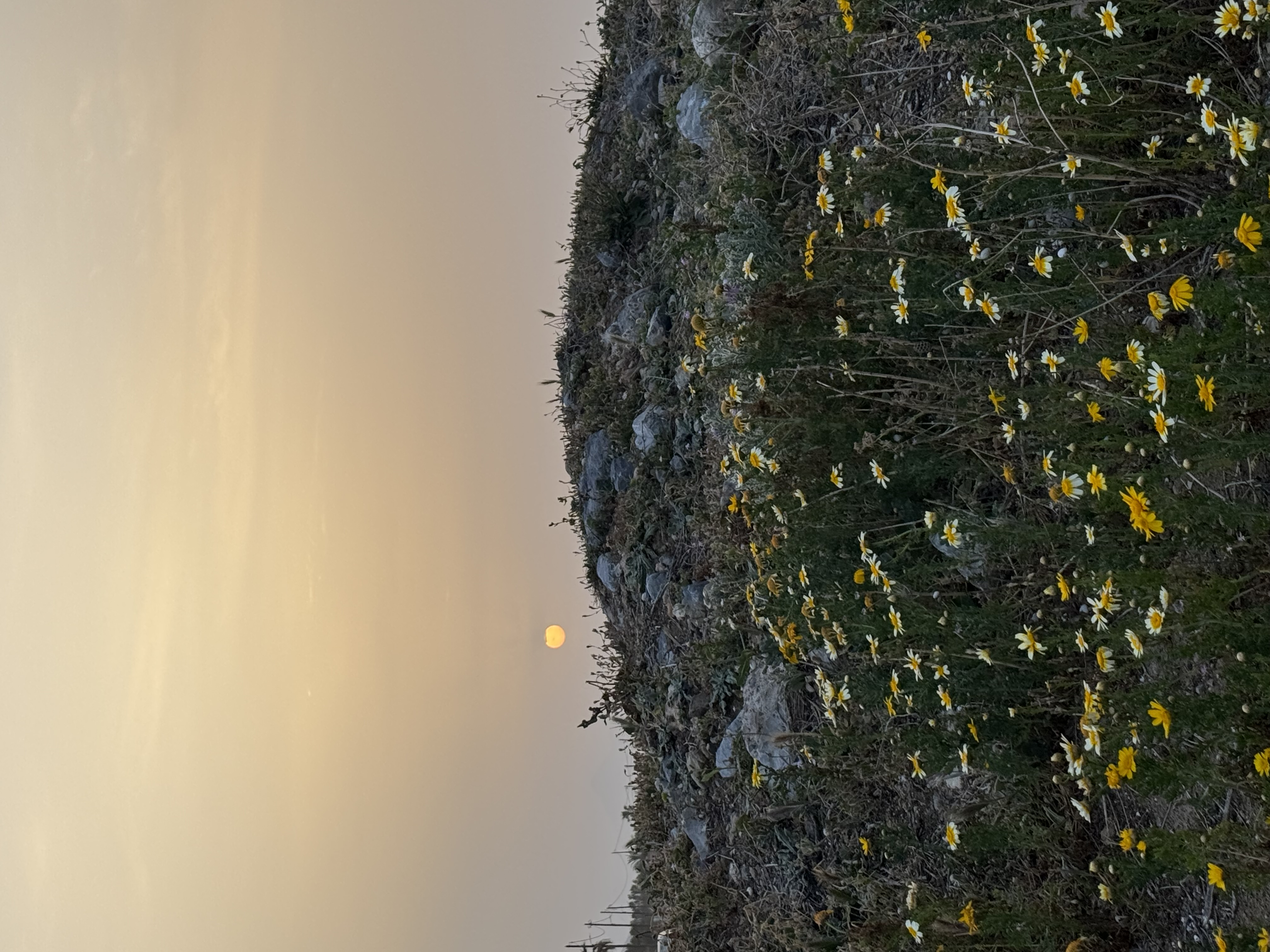 IMG_5760.jpeg