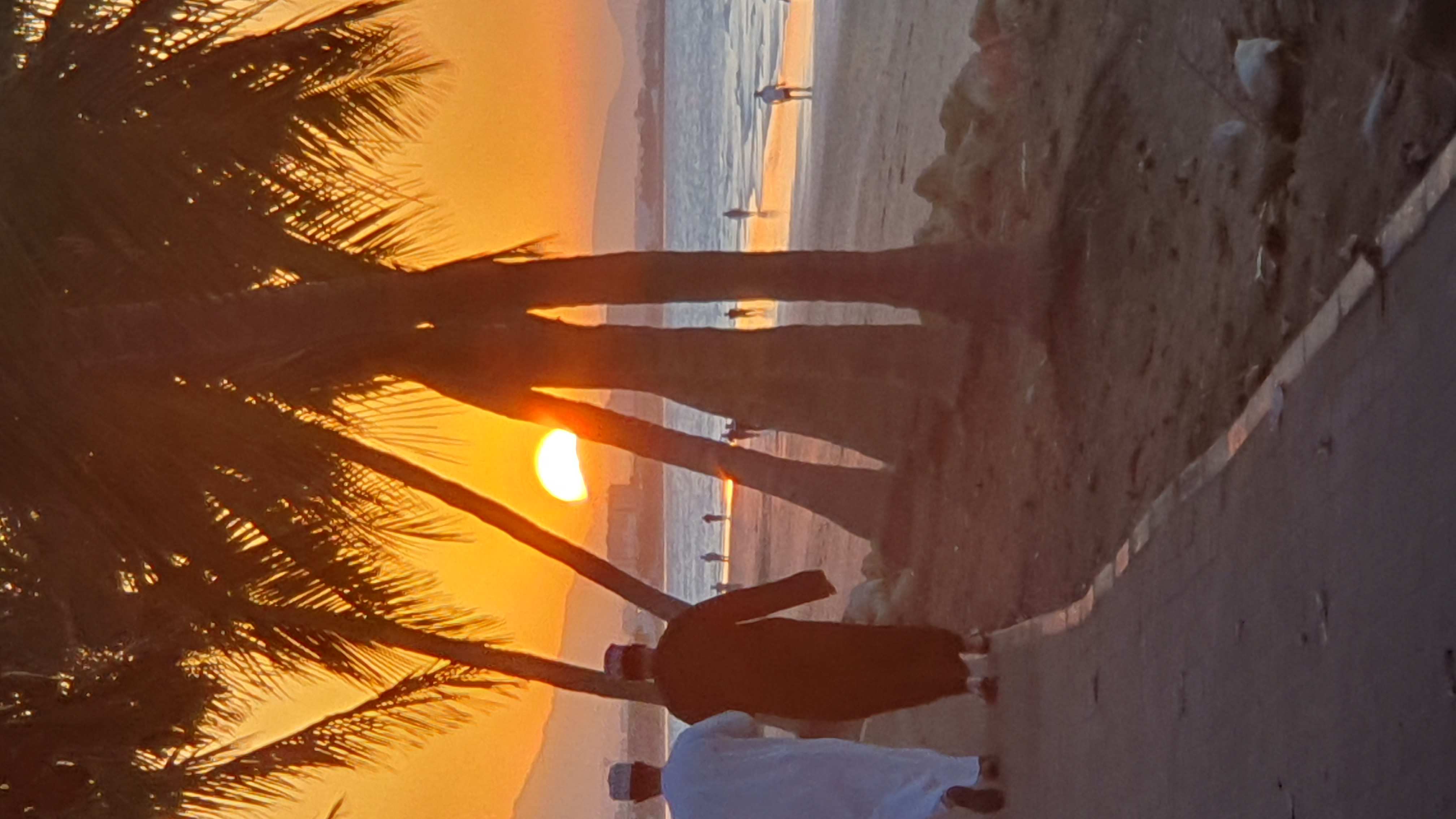 20230212_175506.jpg