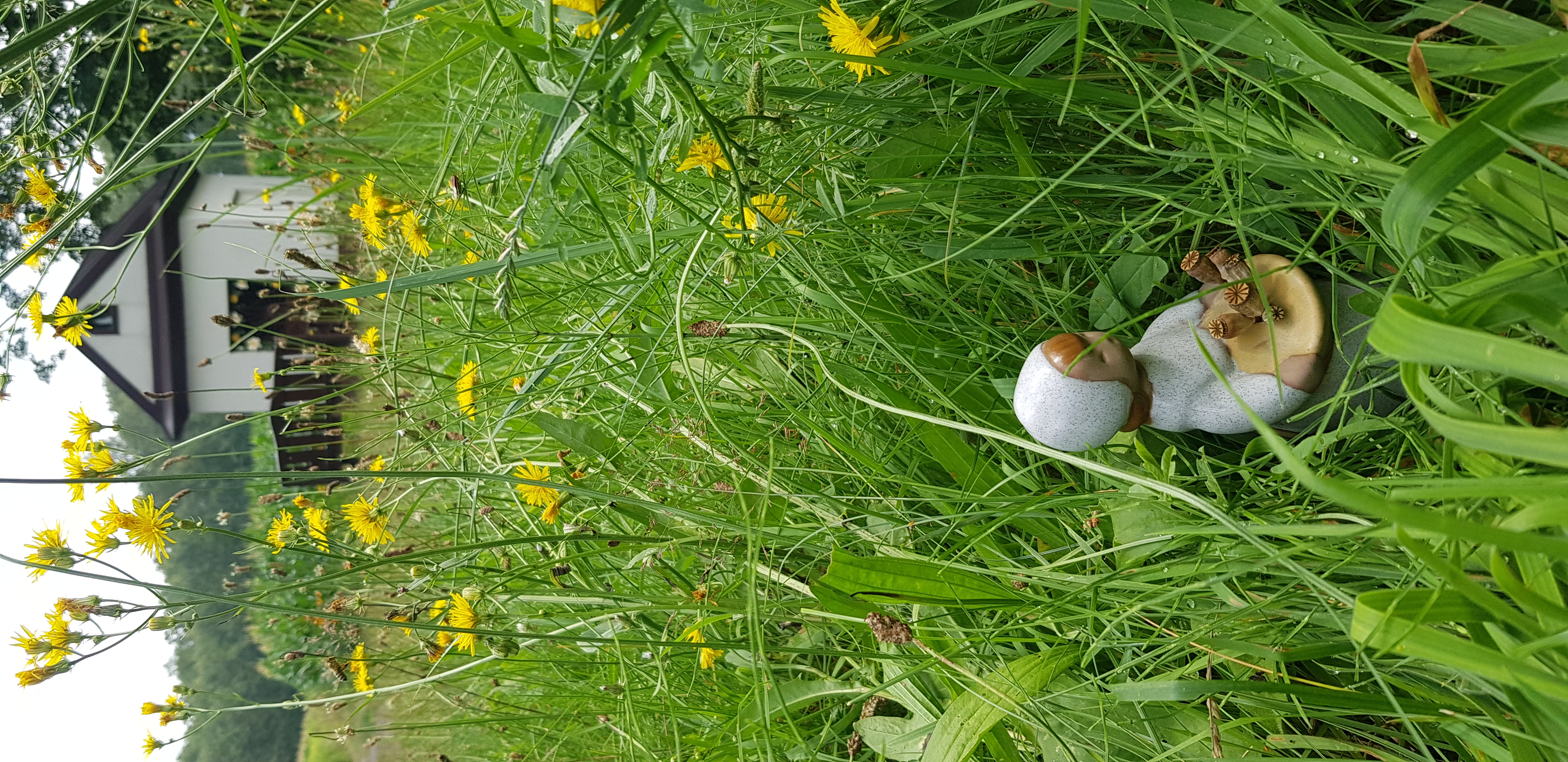 20240715_122511.jpg