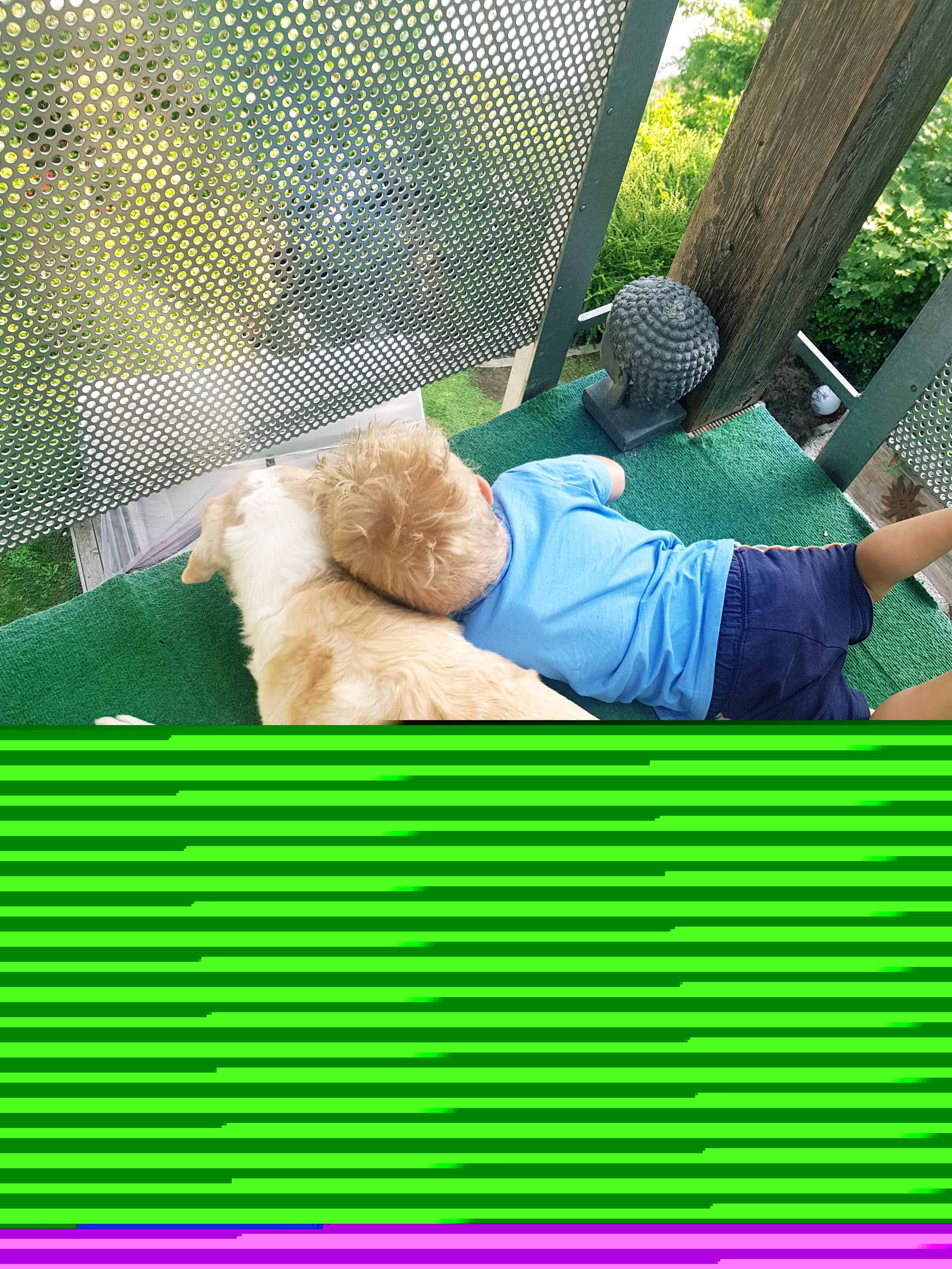 32B9942C-B18A-42A2-9297-BCE4FBA36221.jpeg
