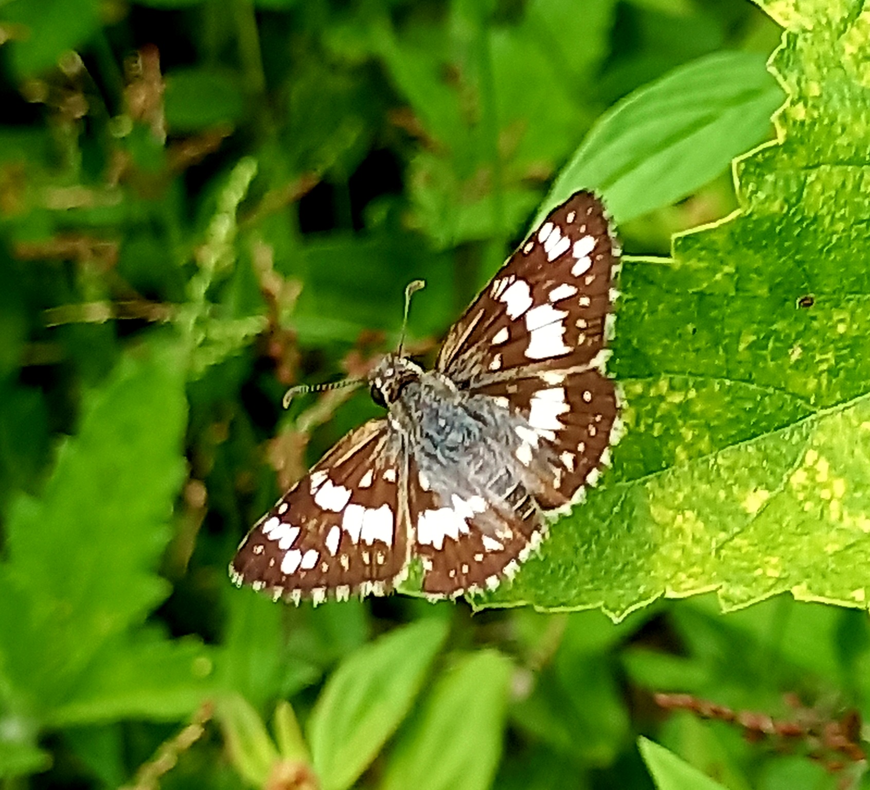 20220906_112007.jpg