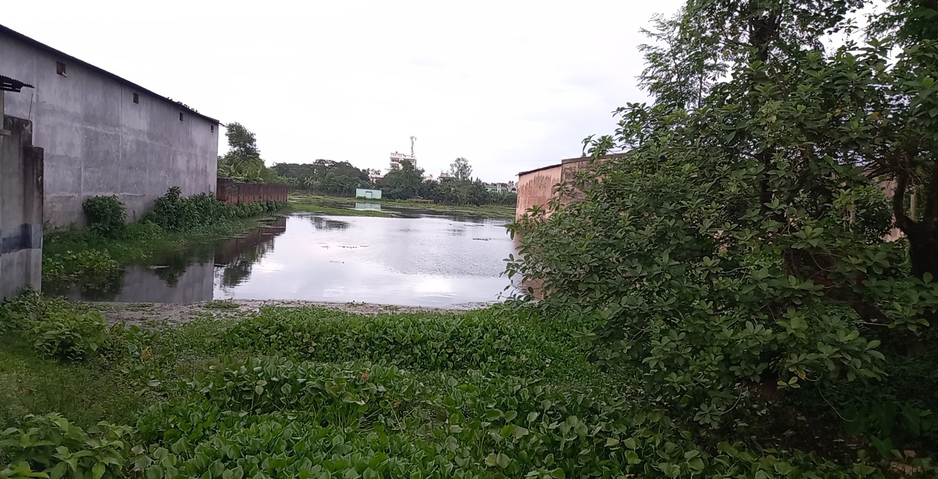 Image_1751026627149.jpg