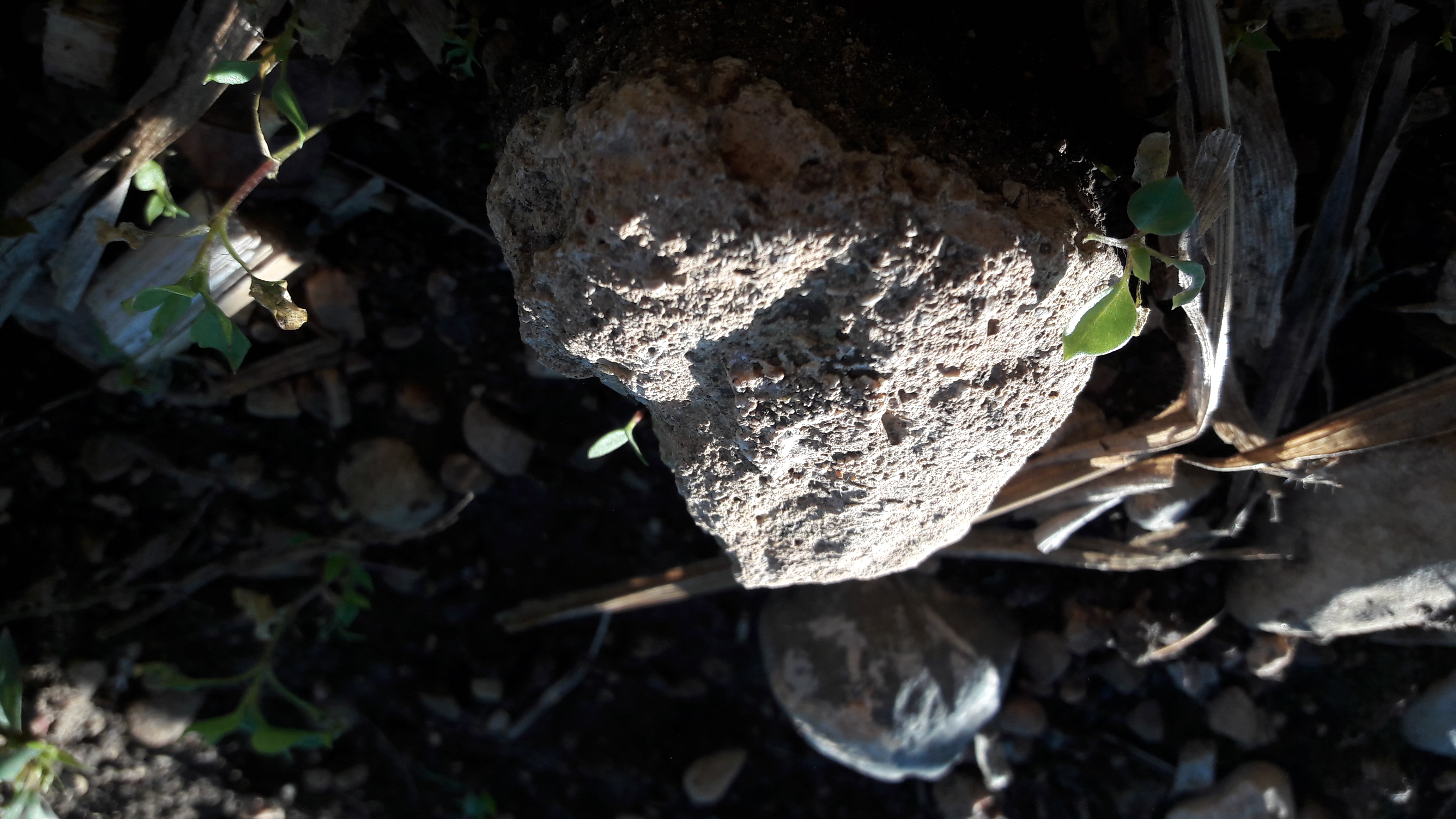 Grounds-Rock-Publicdomain (34).jpg