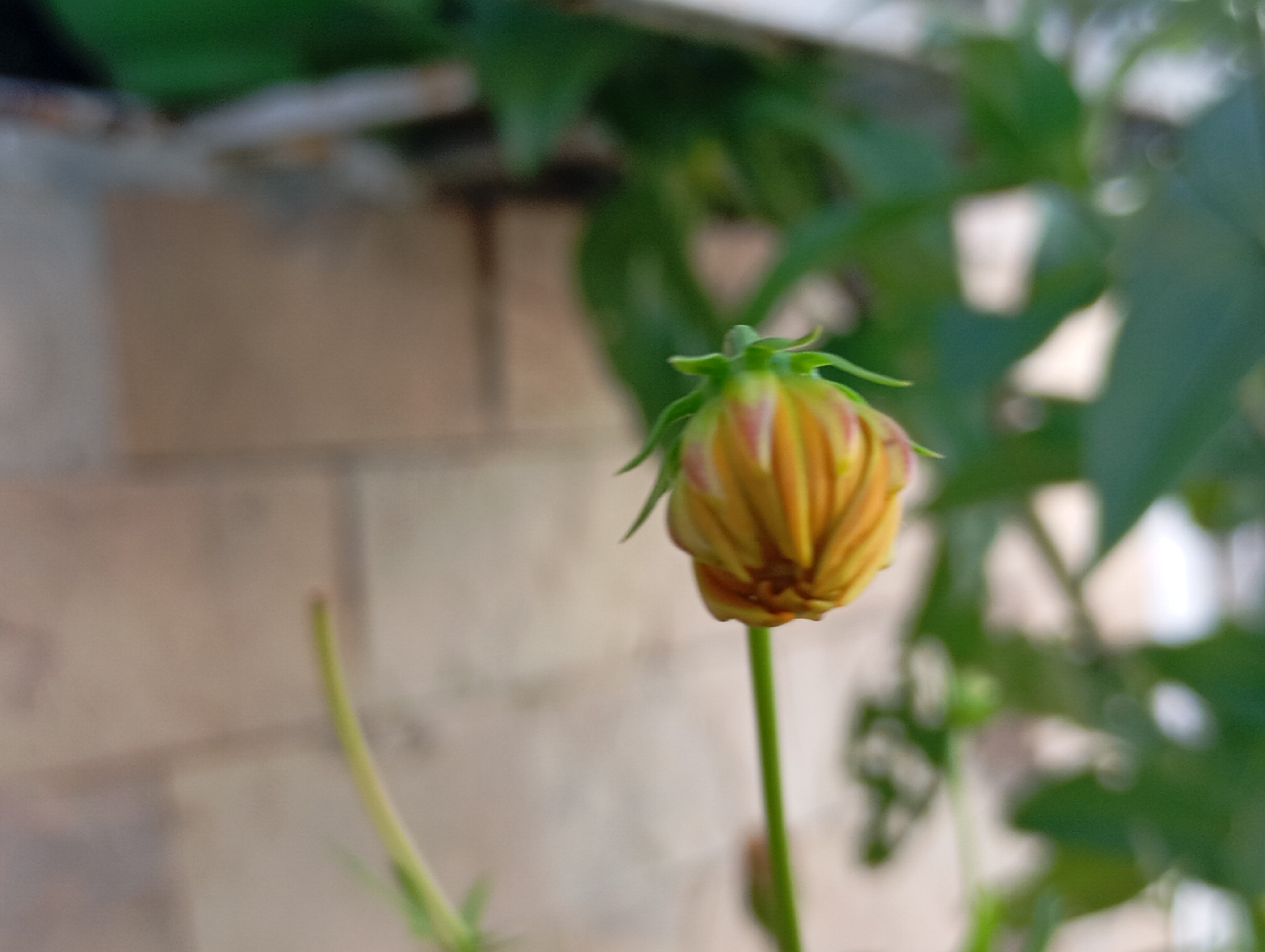 InShot_20250812_214741282.jpg