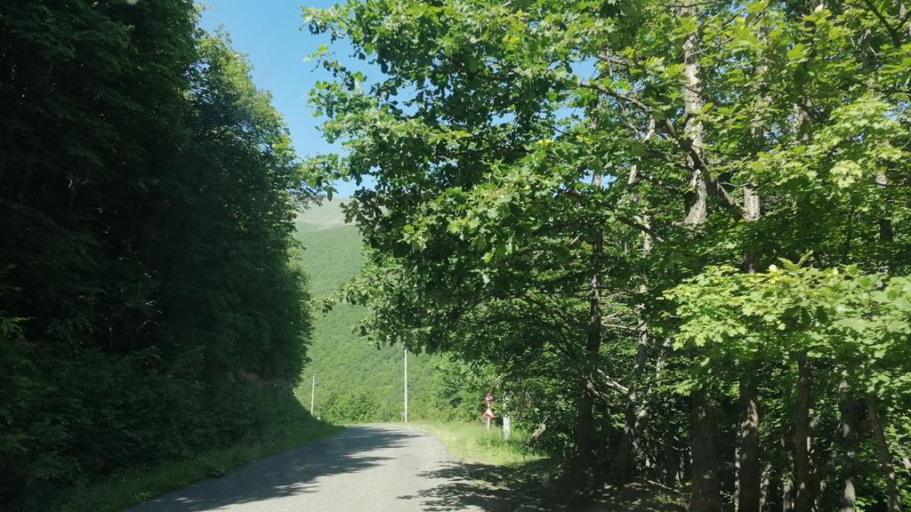 IMG_20250531_093317.jpg