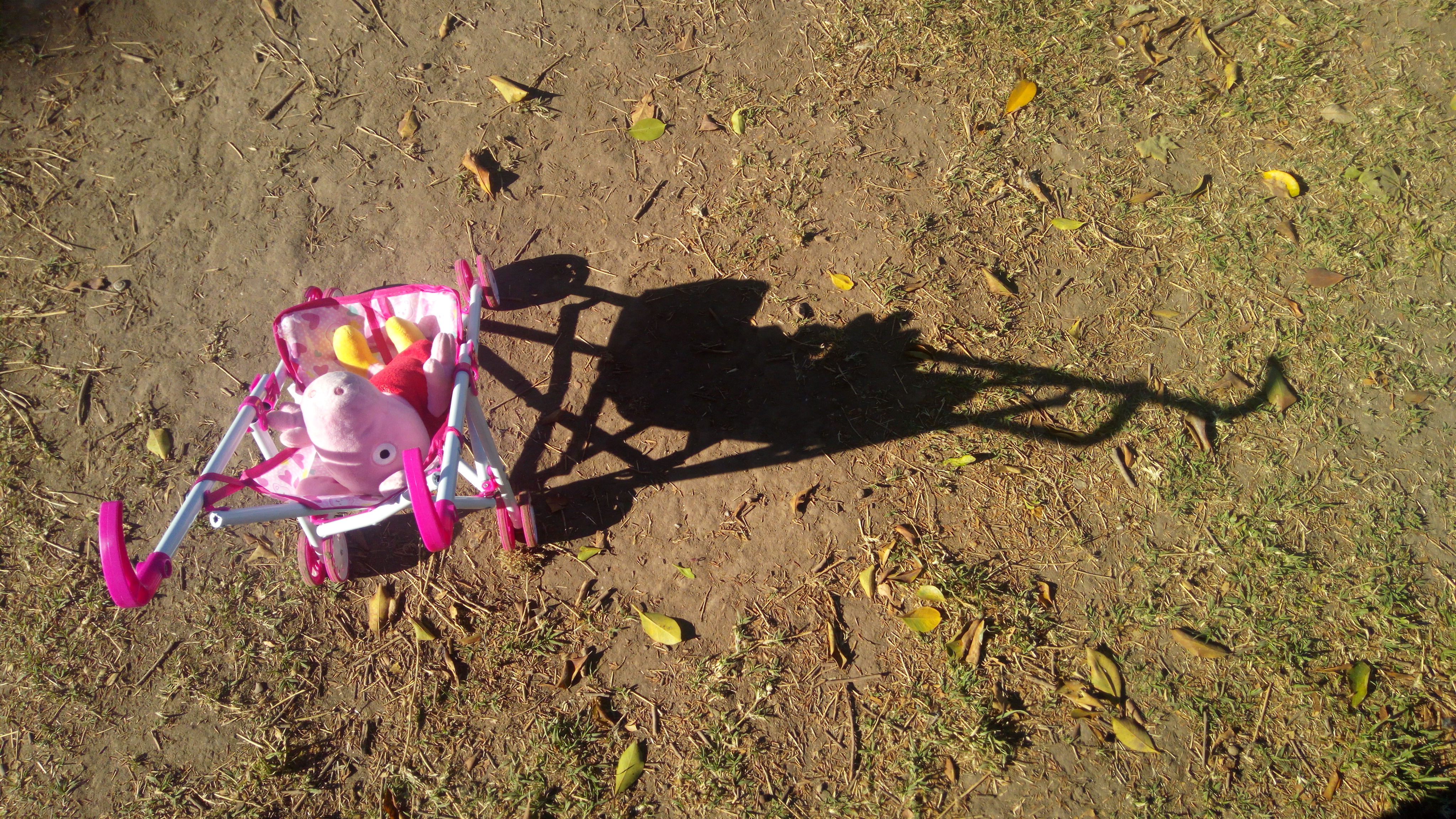 IMG_20201016_164121.jpg