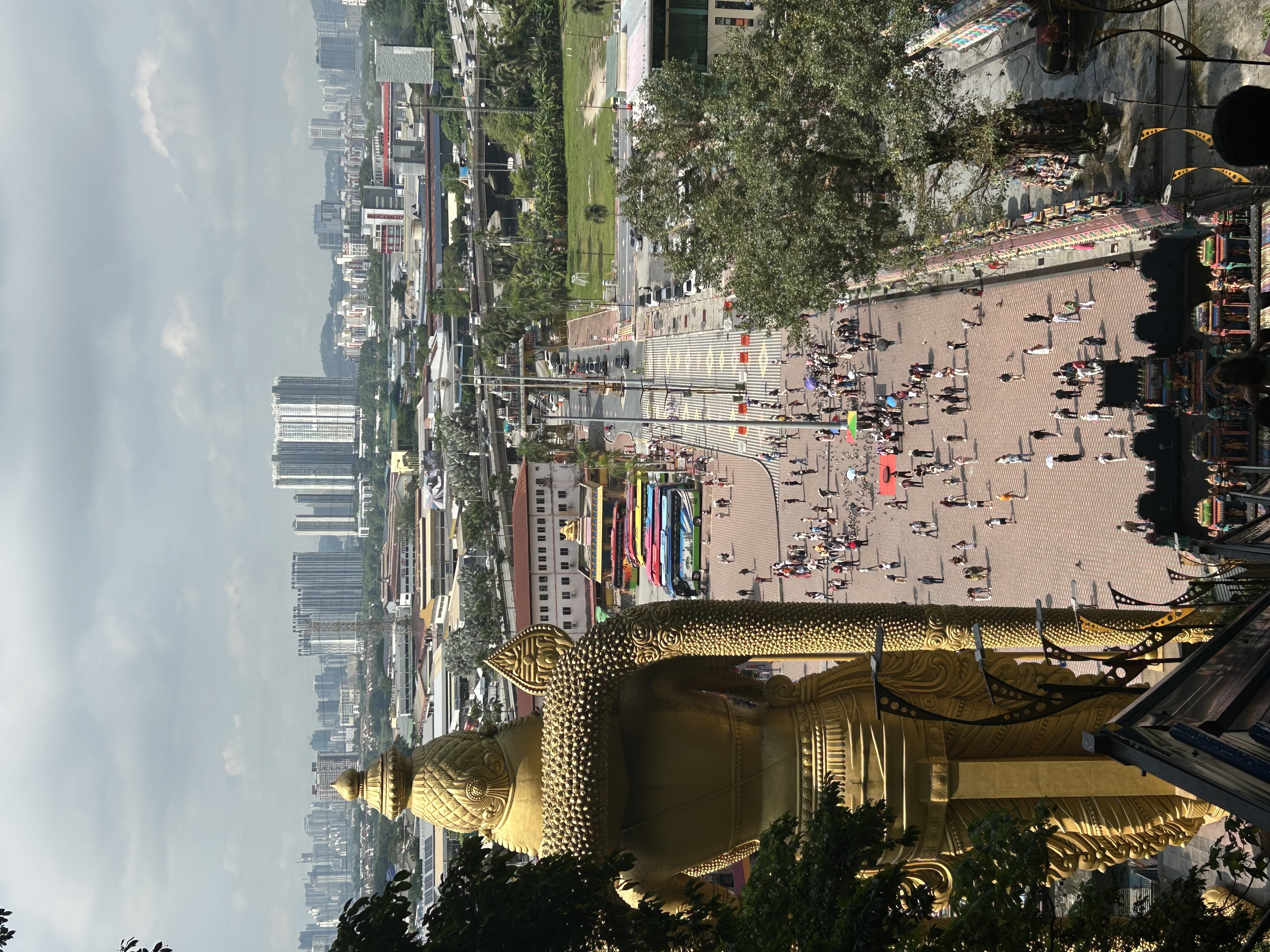 IMG_2918.jpeg