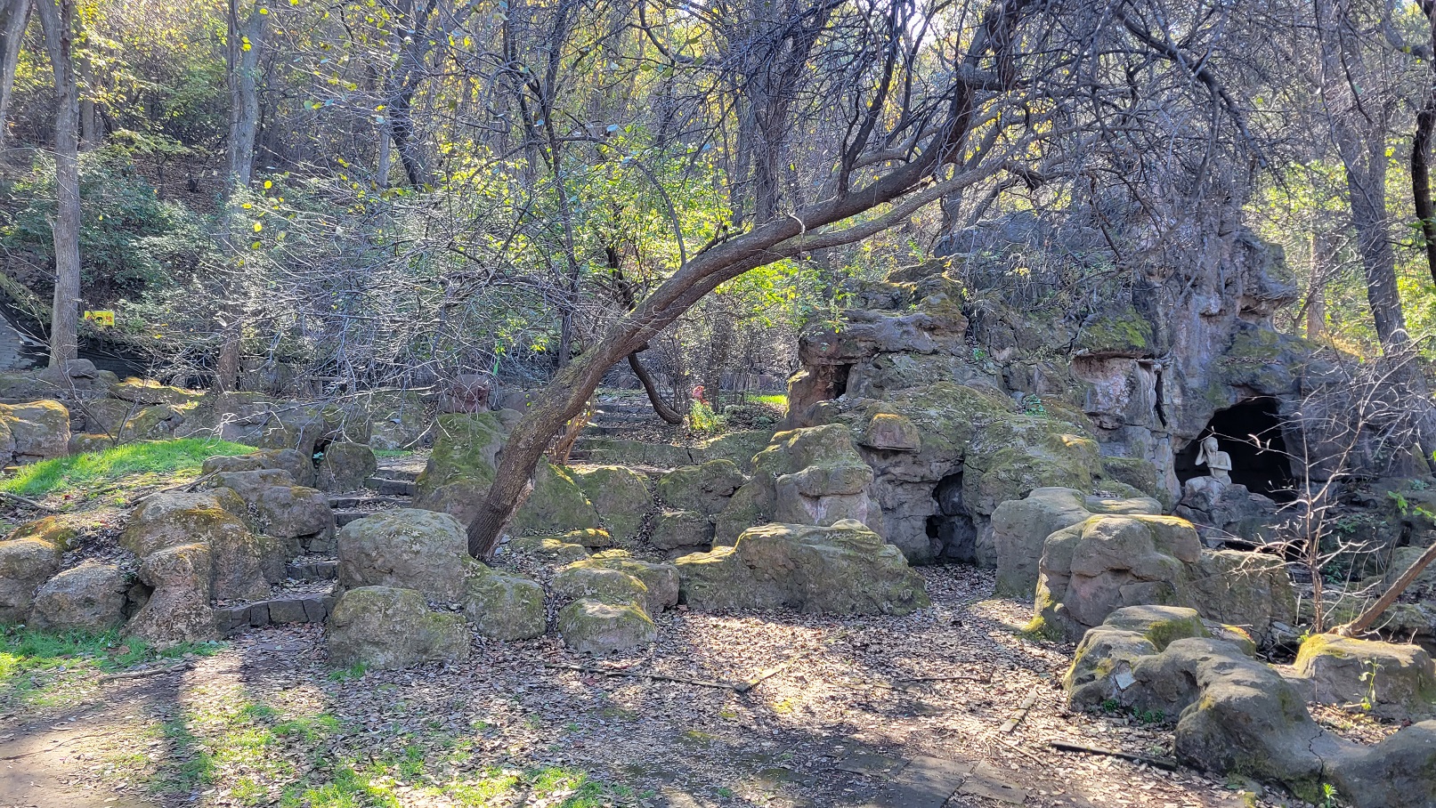 20221005_132912.jpg