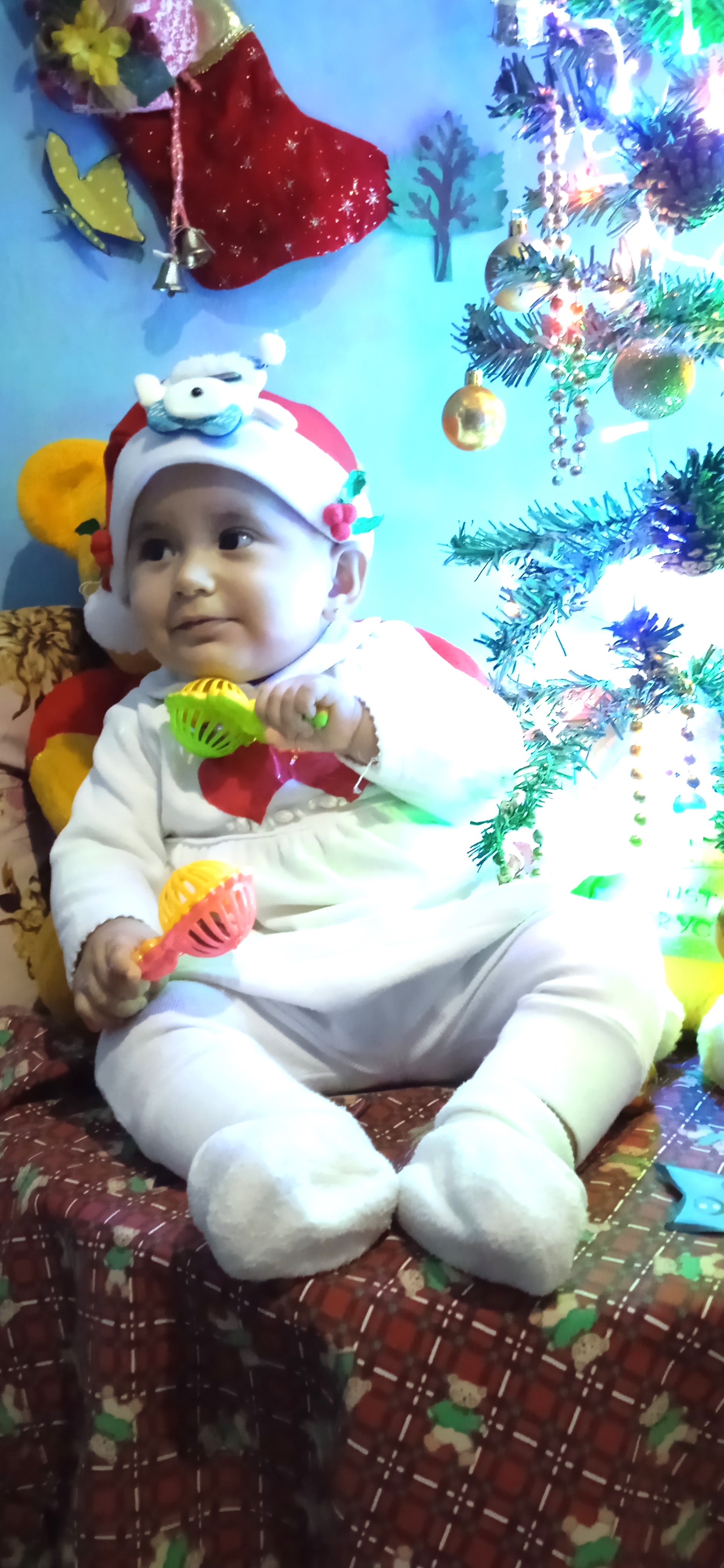  "IMG_20231208_164457.jpg"
