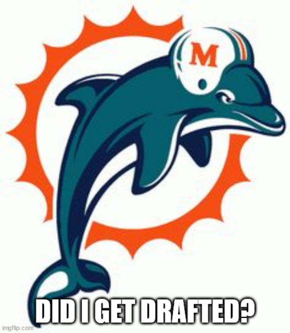 Screenshot 2023-05-03 at 17-07-22 Miami Dolphin Meme Generator - Imgflip.png