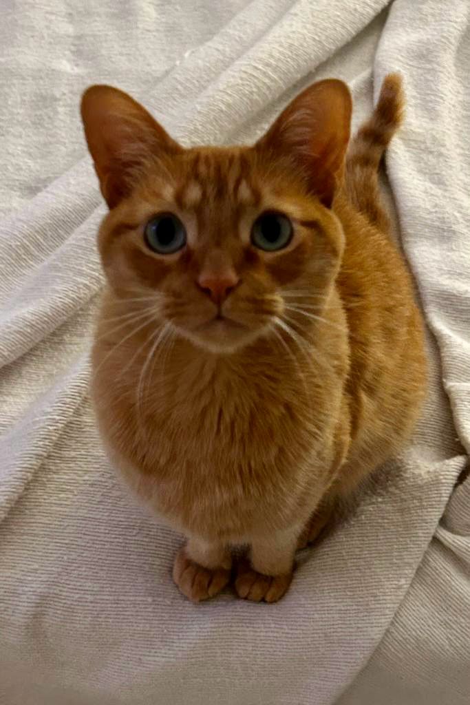 WhatsApp Image 2024-02-15 at 10.43.41 (4).jpeg