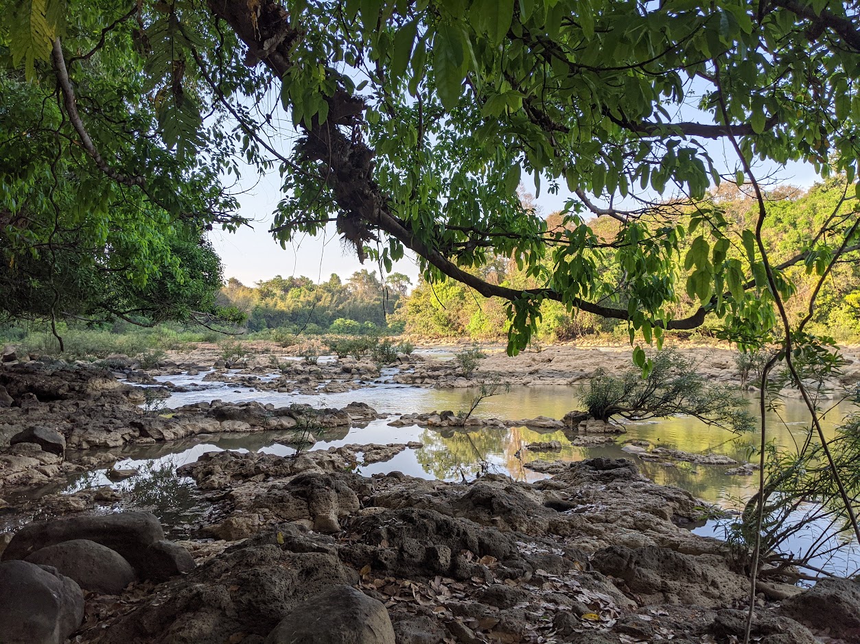 Boars, Bears, and Crocodiles - A Day of Forest Fun In Cat Tien National Park, Vietnam
