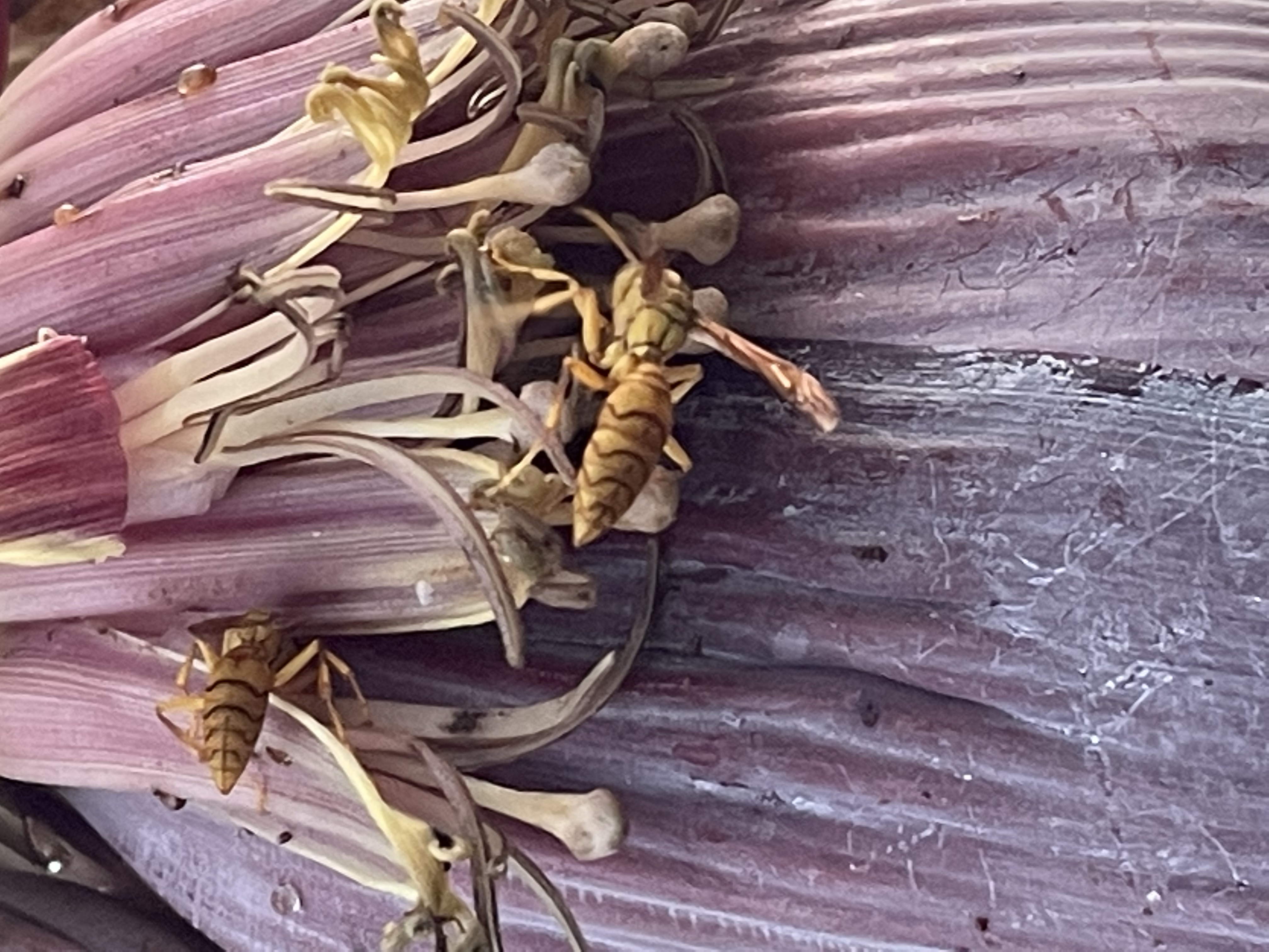 292192FA-A4A3-4EC4-9EF7-4E61CAA54110.jpeg