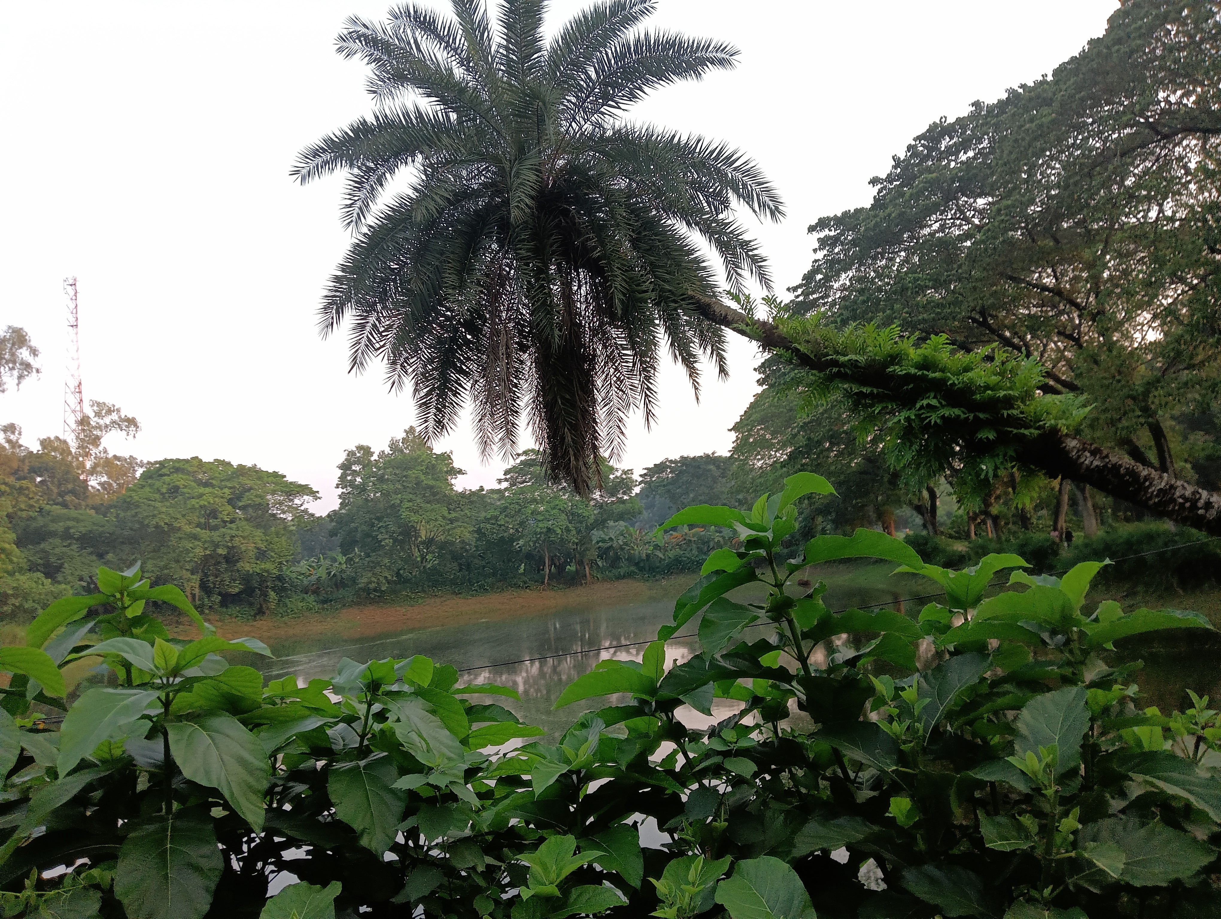 IMG20250717182250.jpg