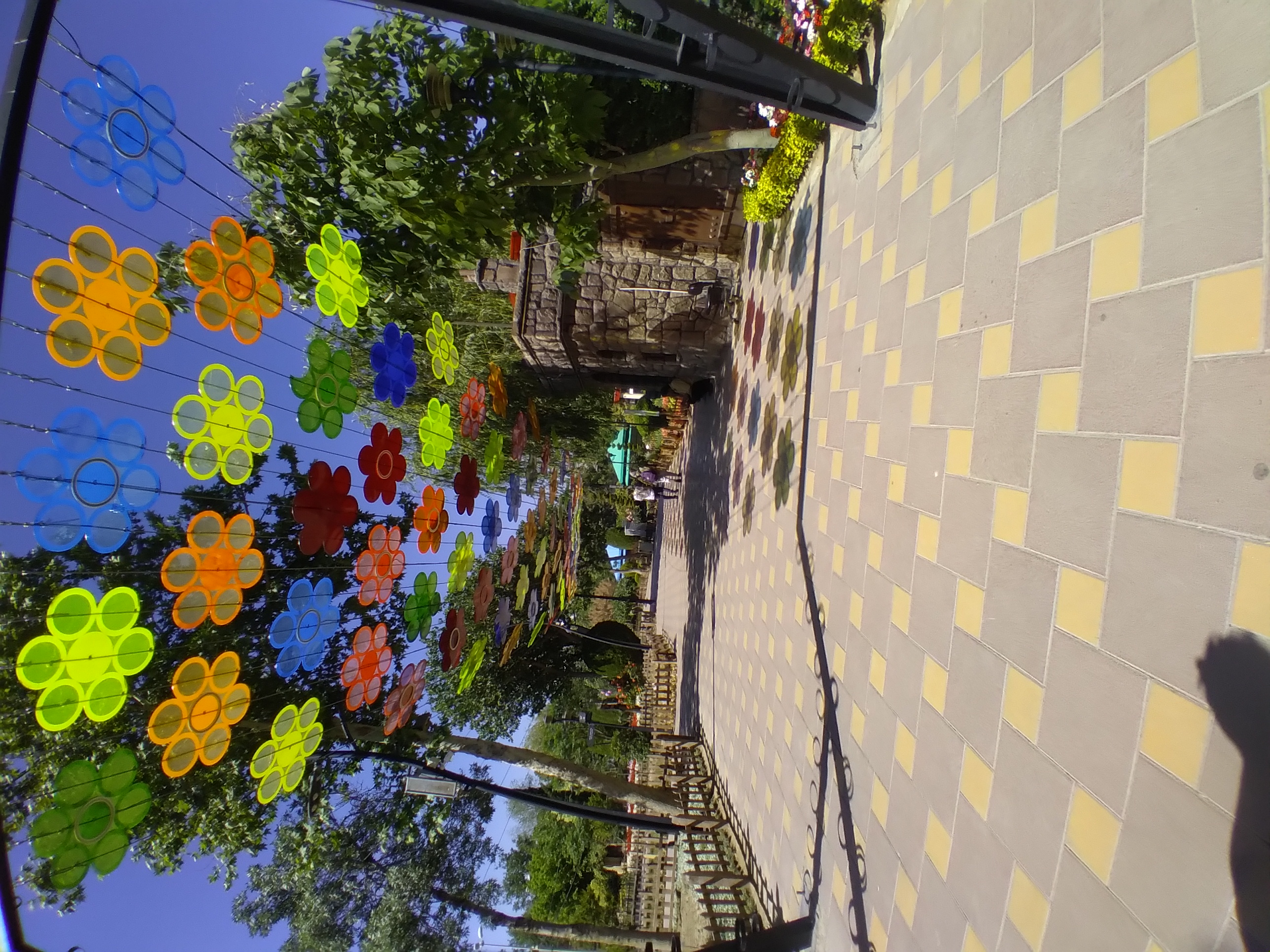 20250508_142530.jpg