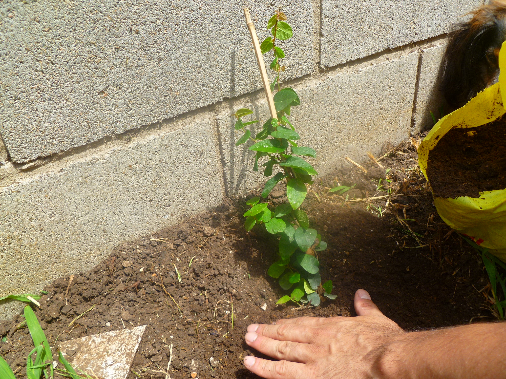 P1080384.JPG