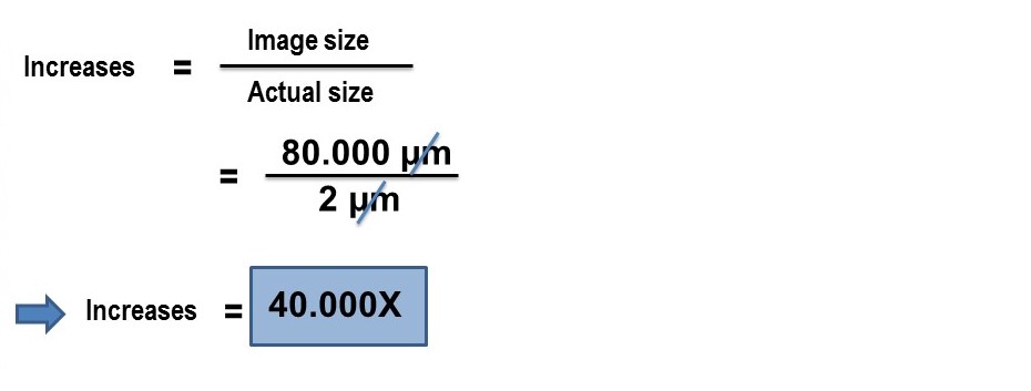 Cálculo de los aumentos de la muestra.jpg