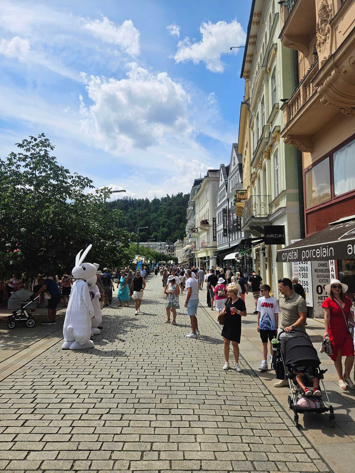 footer_image_15016953320.png