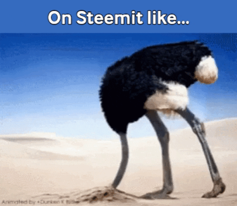 on steemit like - ostrich.gif