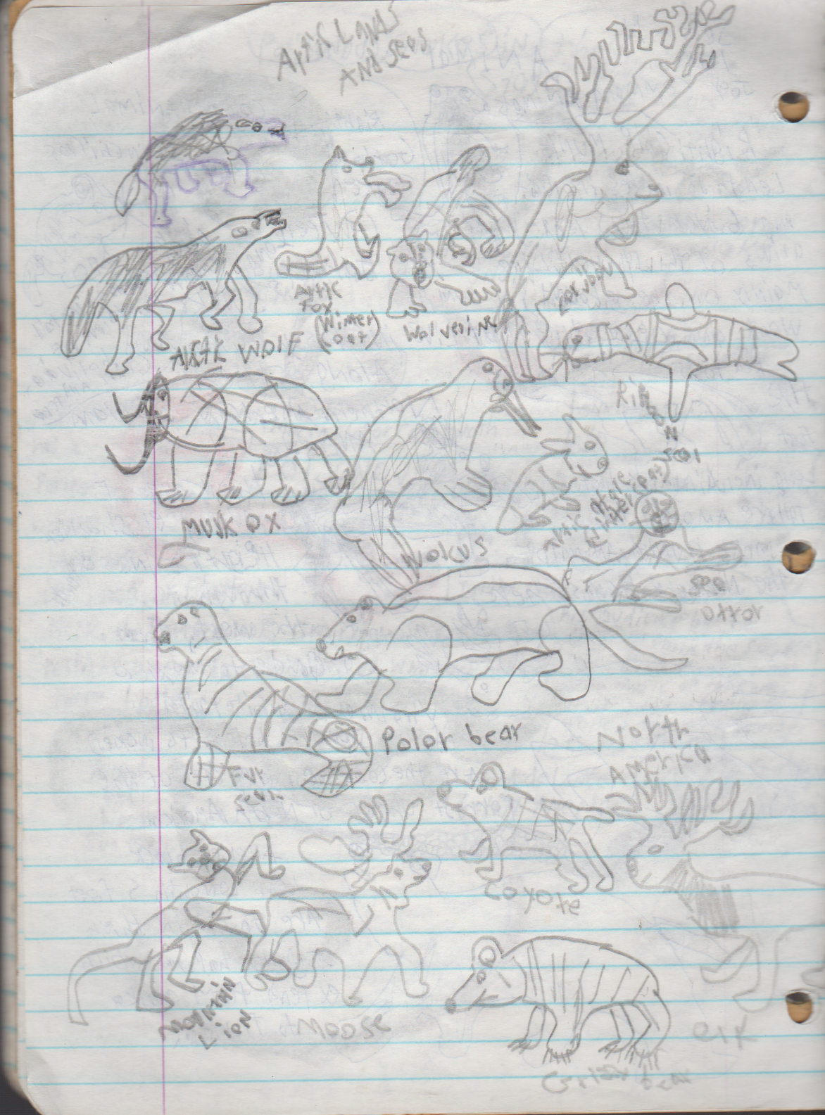 1996-08-18 - Saturday - 11 yr old Joey Arnold's School Book, dates through to 1998 apx, mostly 96, Writings, Drawings, Etc-006.png