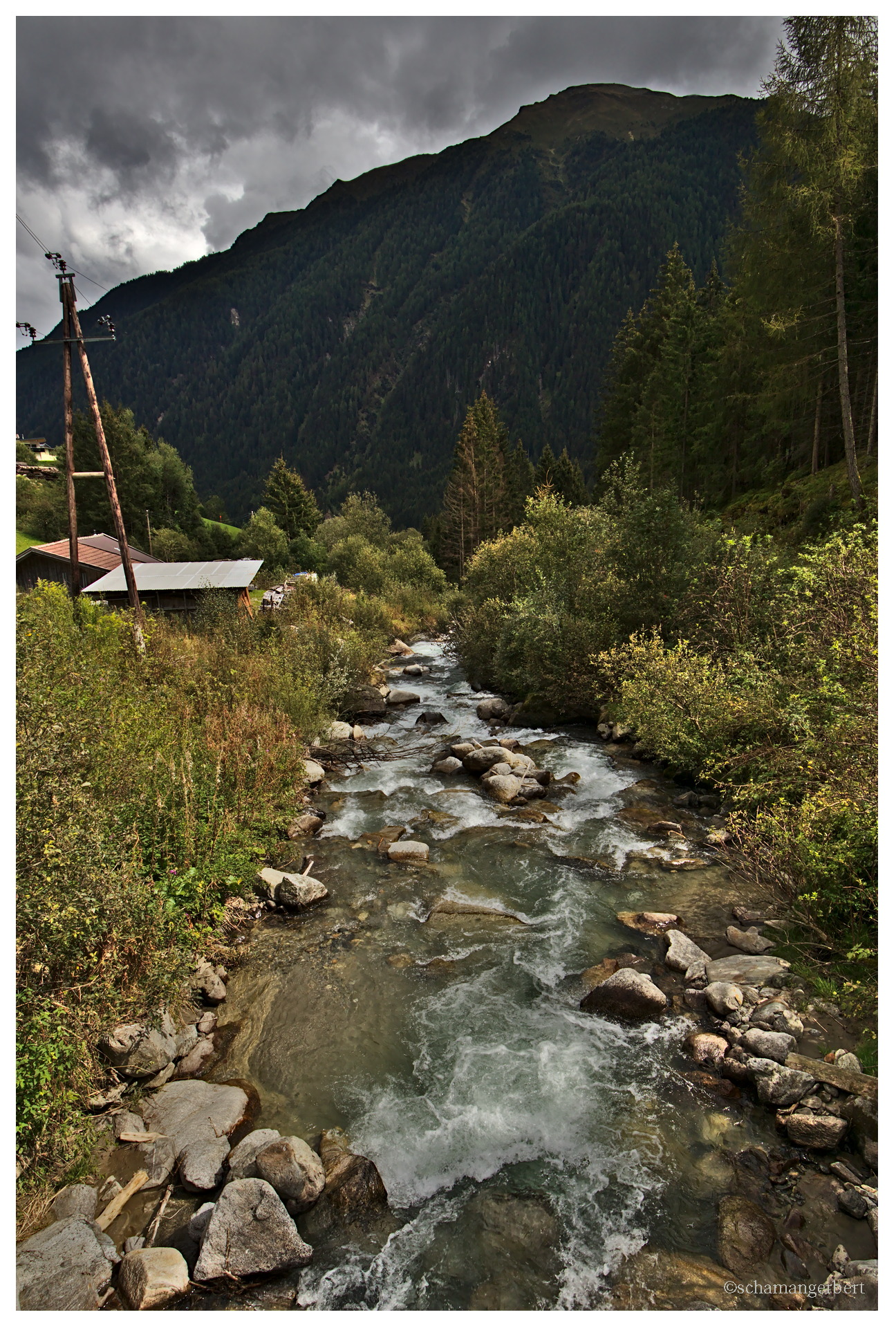 IMG_2294.jpg