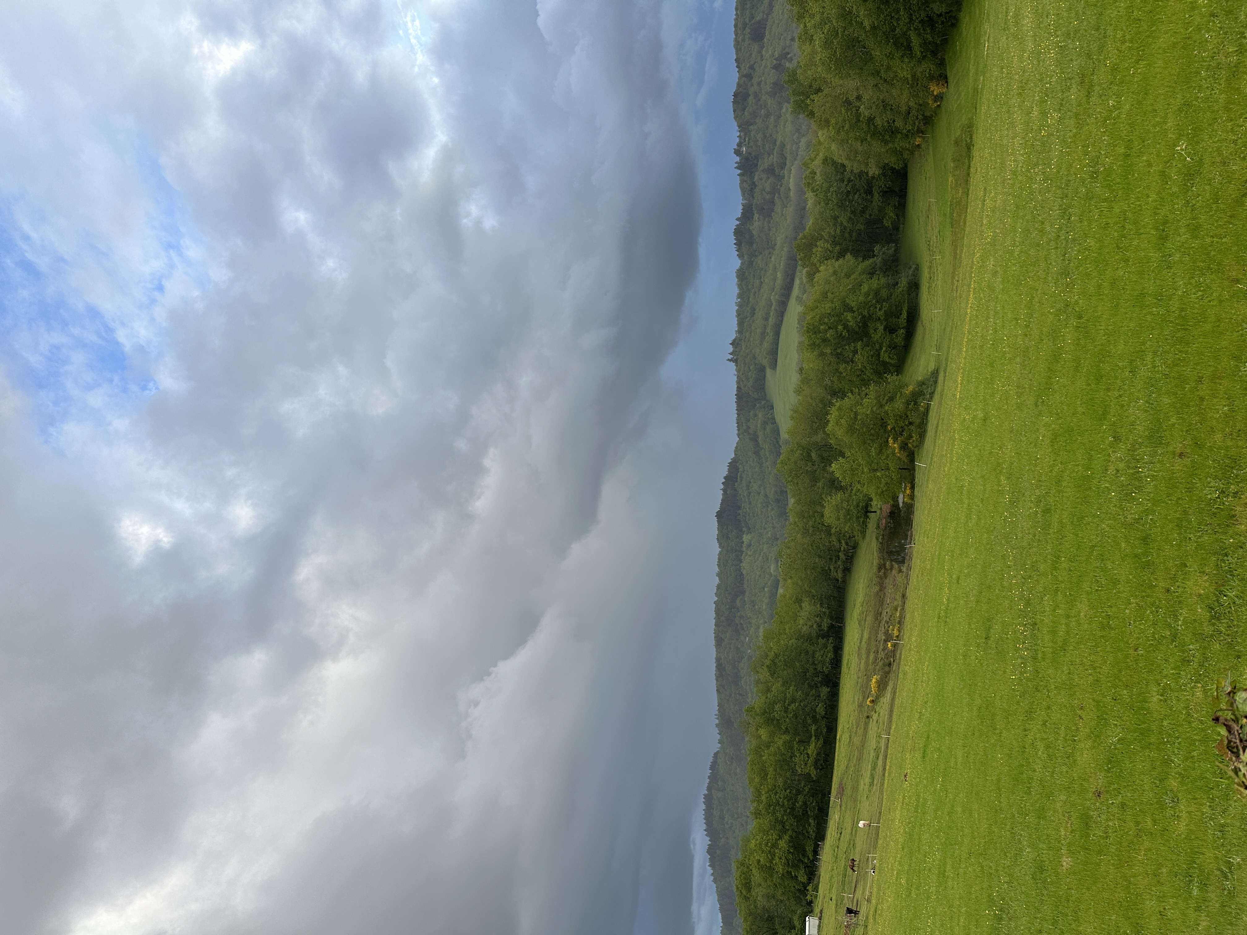 IMG_2507.jpeg