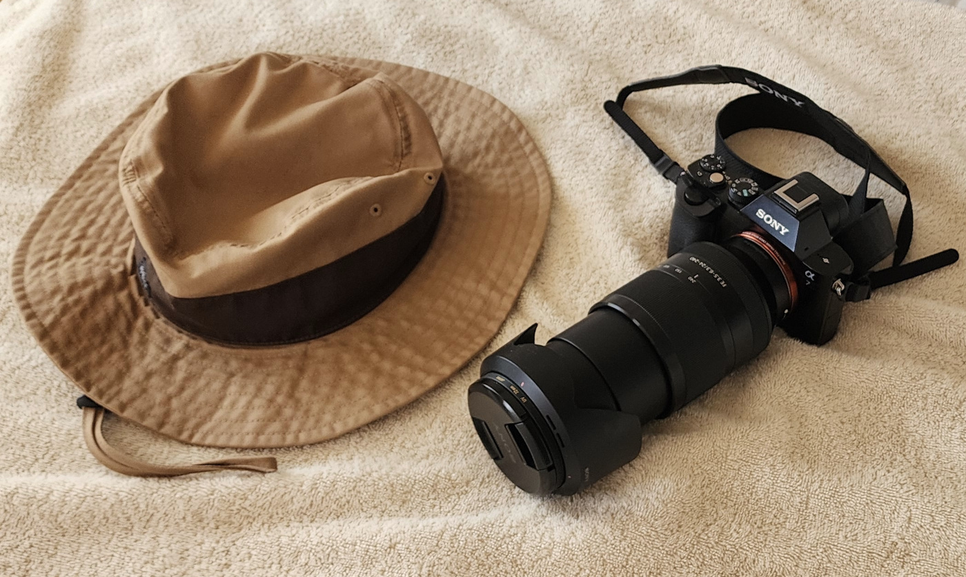 safari-003.jpg