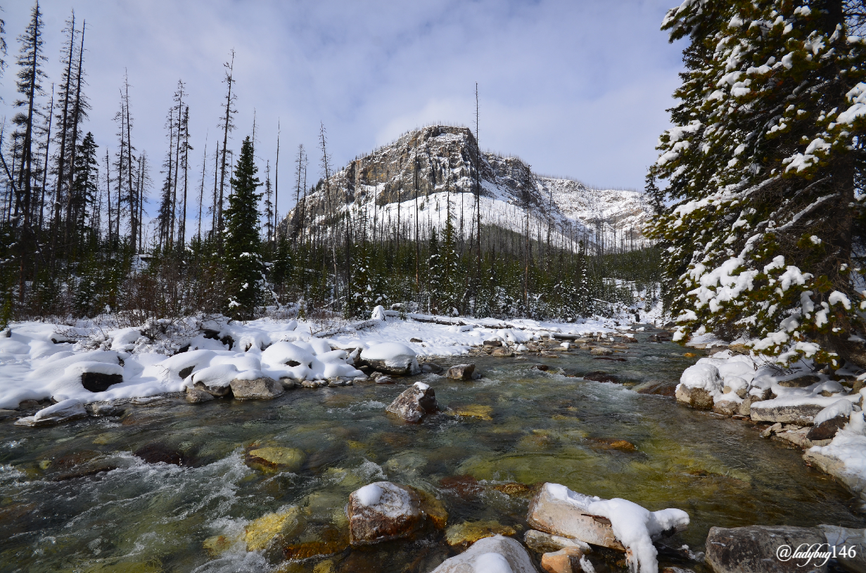 marble canyon (3).jpg