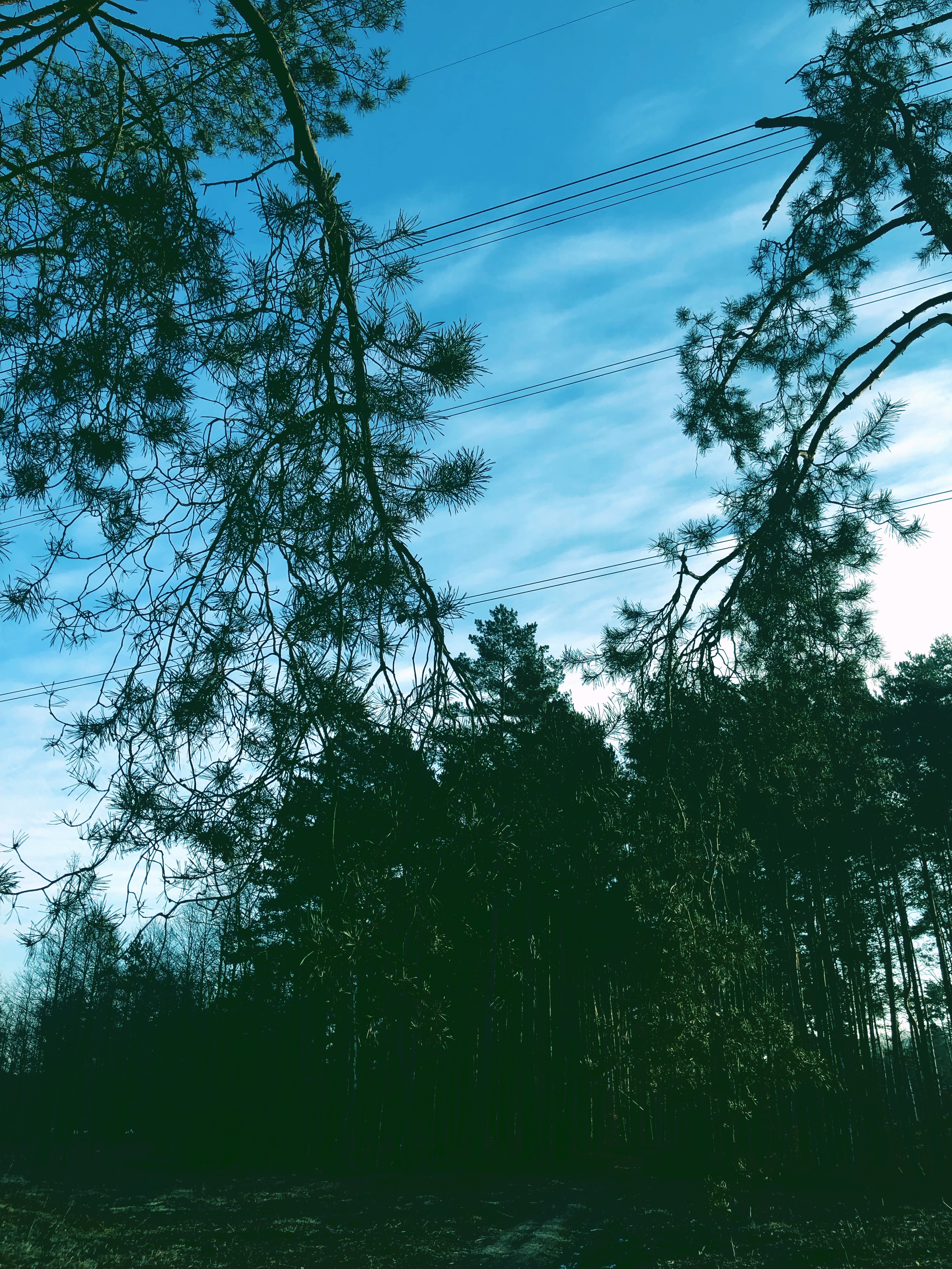 IMG_9638.jpeg