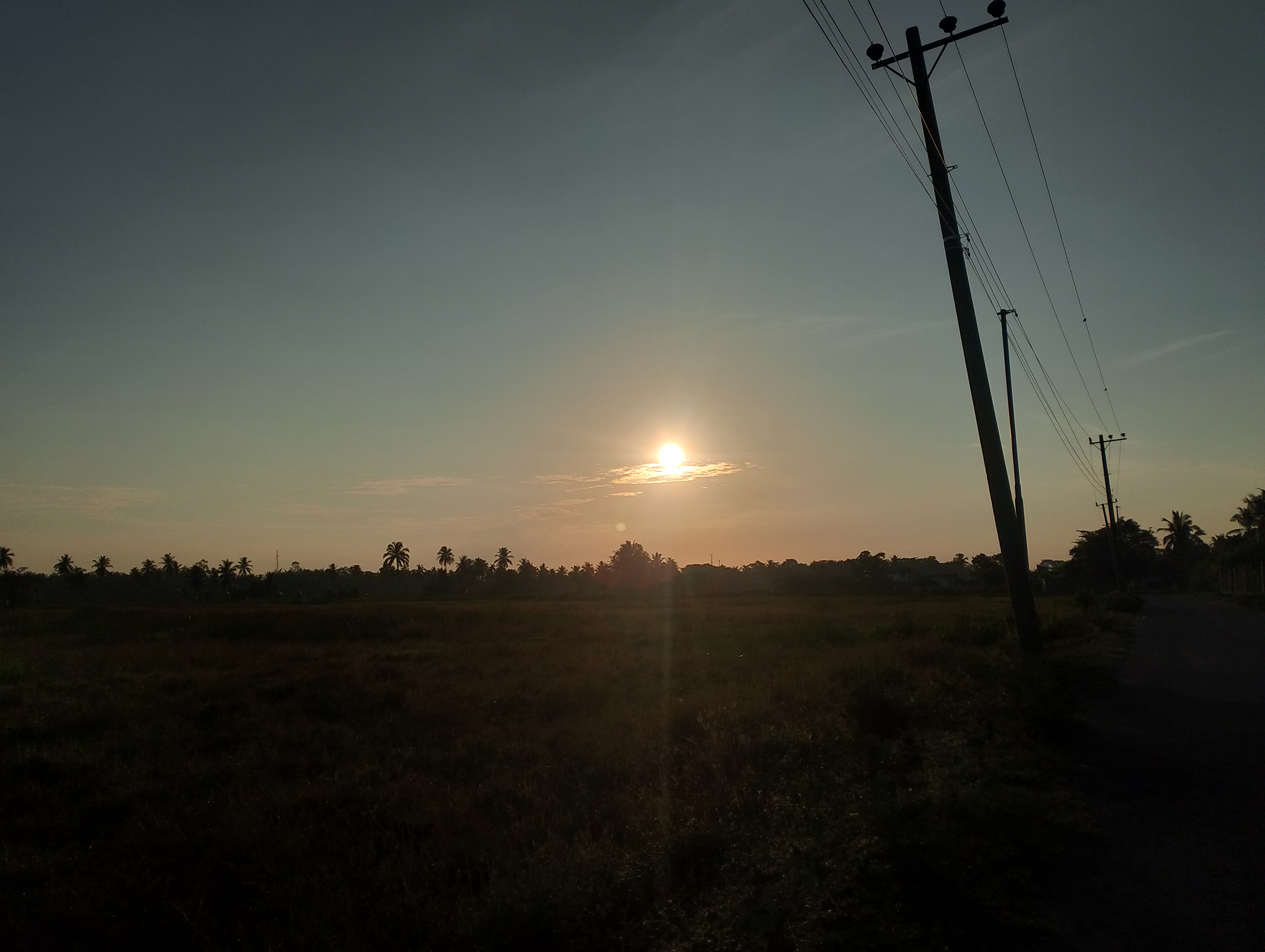 IMG_20250724_070238.jpg