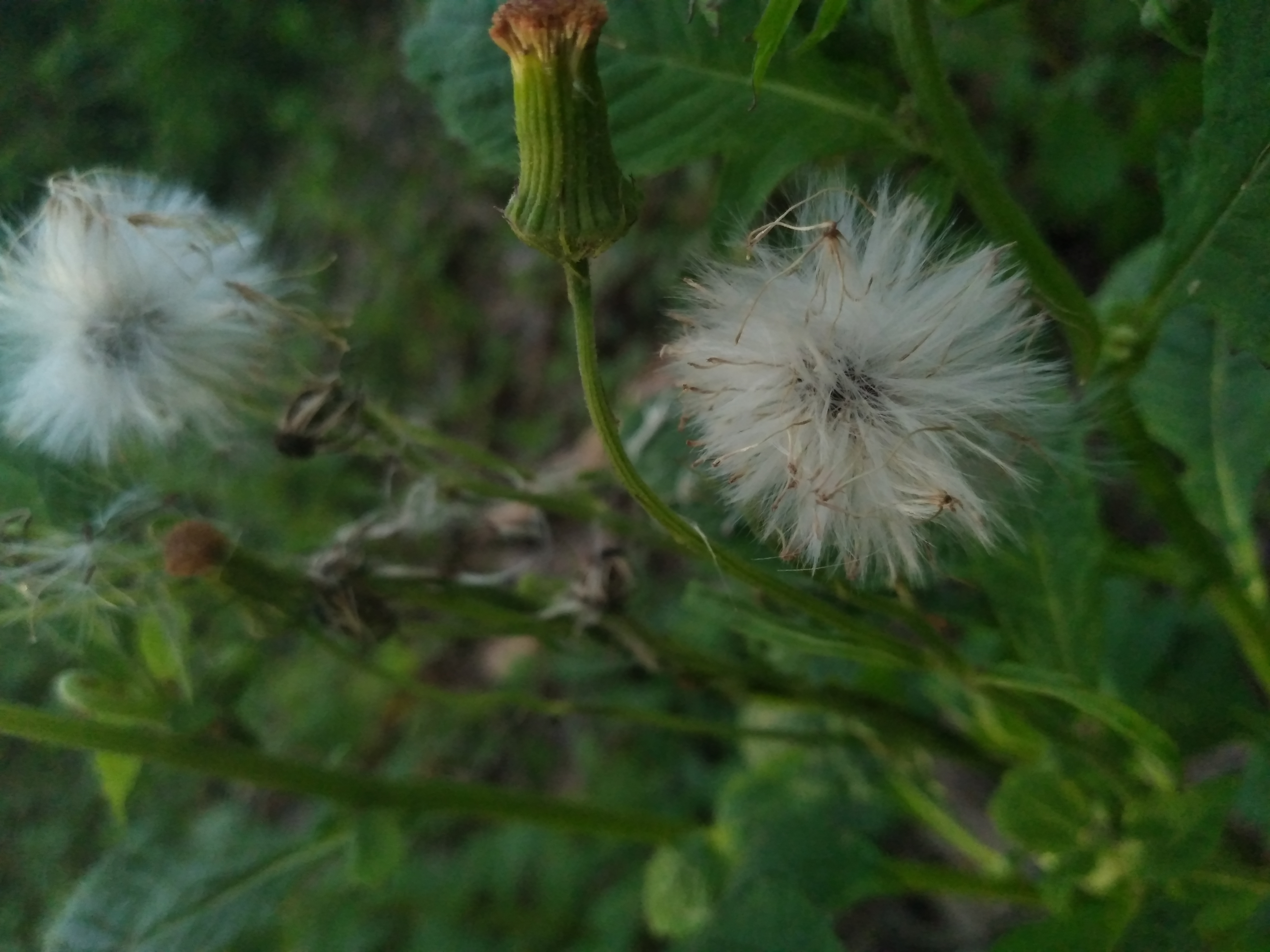 20200822_174247.jpg