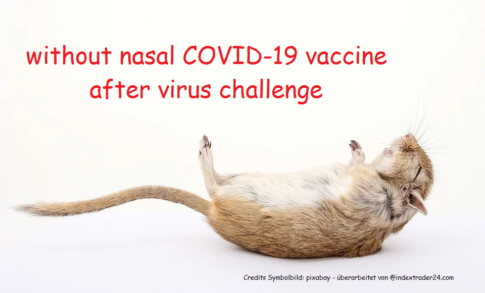 Without nasal COVID-19 vaccine Copyright - Kopie.png