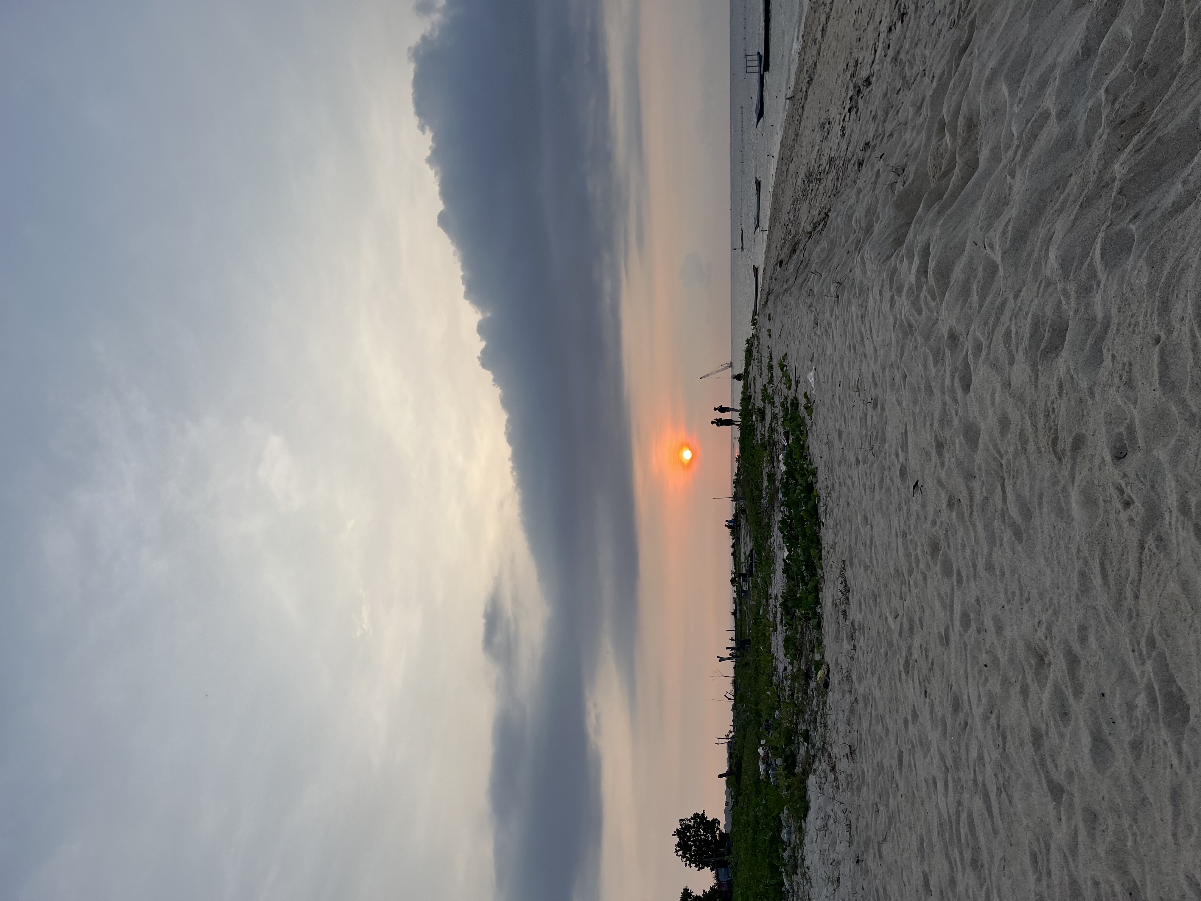 IMG_8765.jpeg