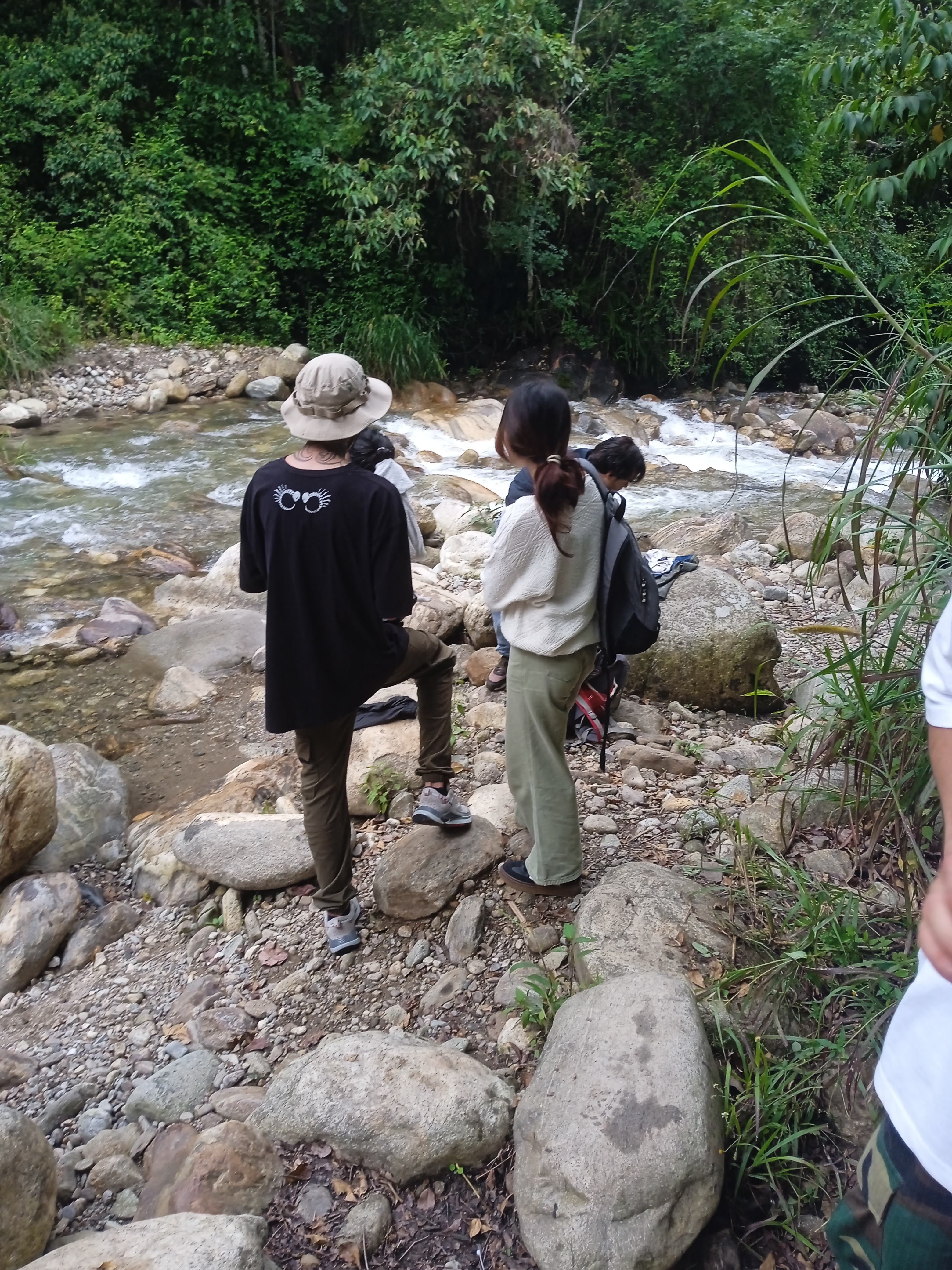 IMG_20250615_152010.jpg
