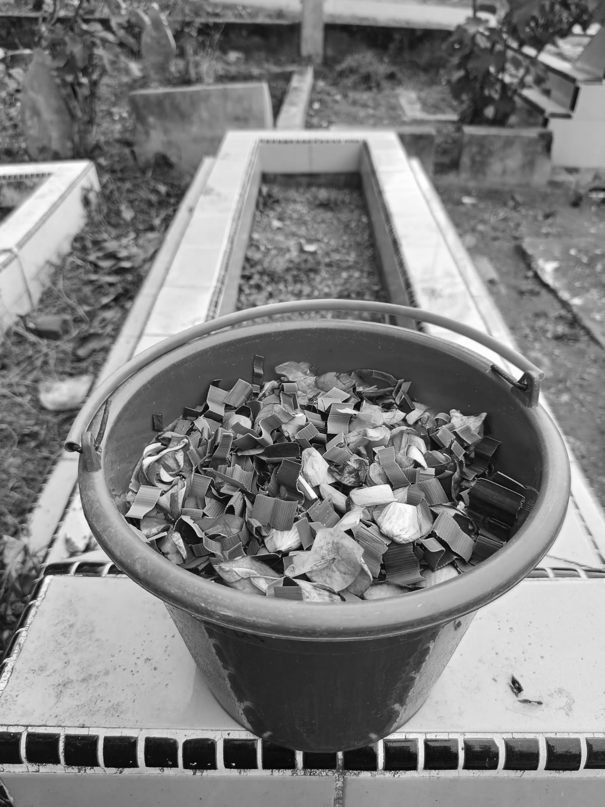 image013.jpeg