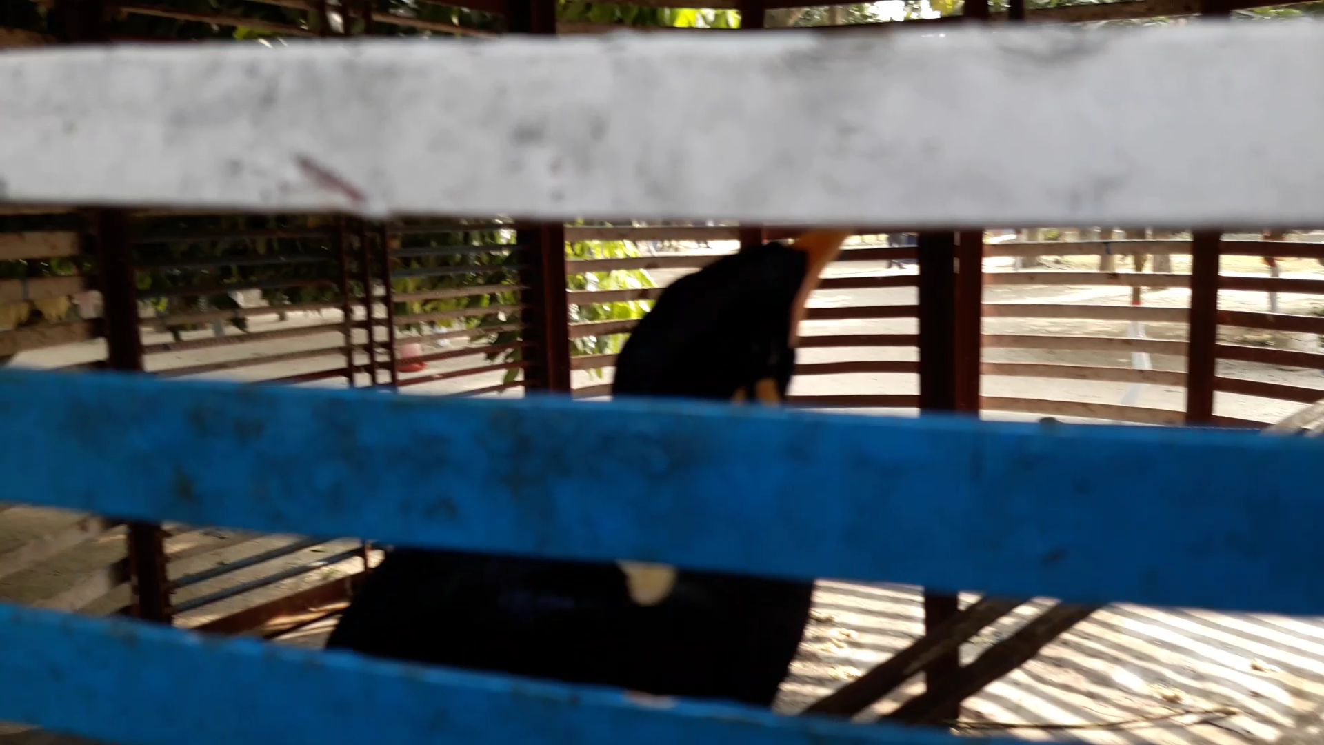 VideoCapture_20230128-164124.jpg