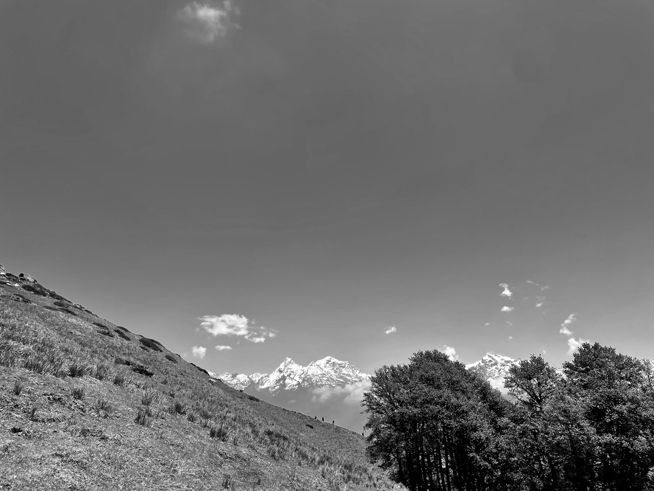 IMG_3858.jpeg