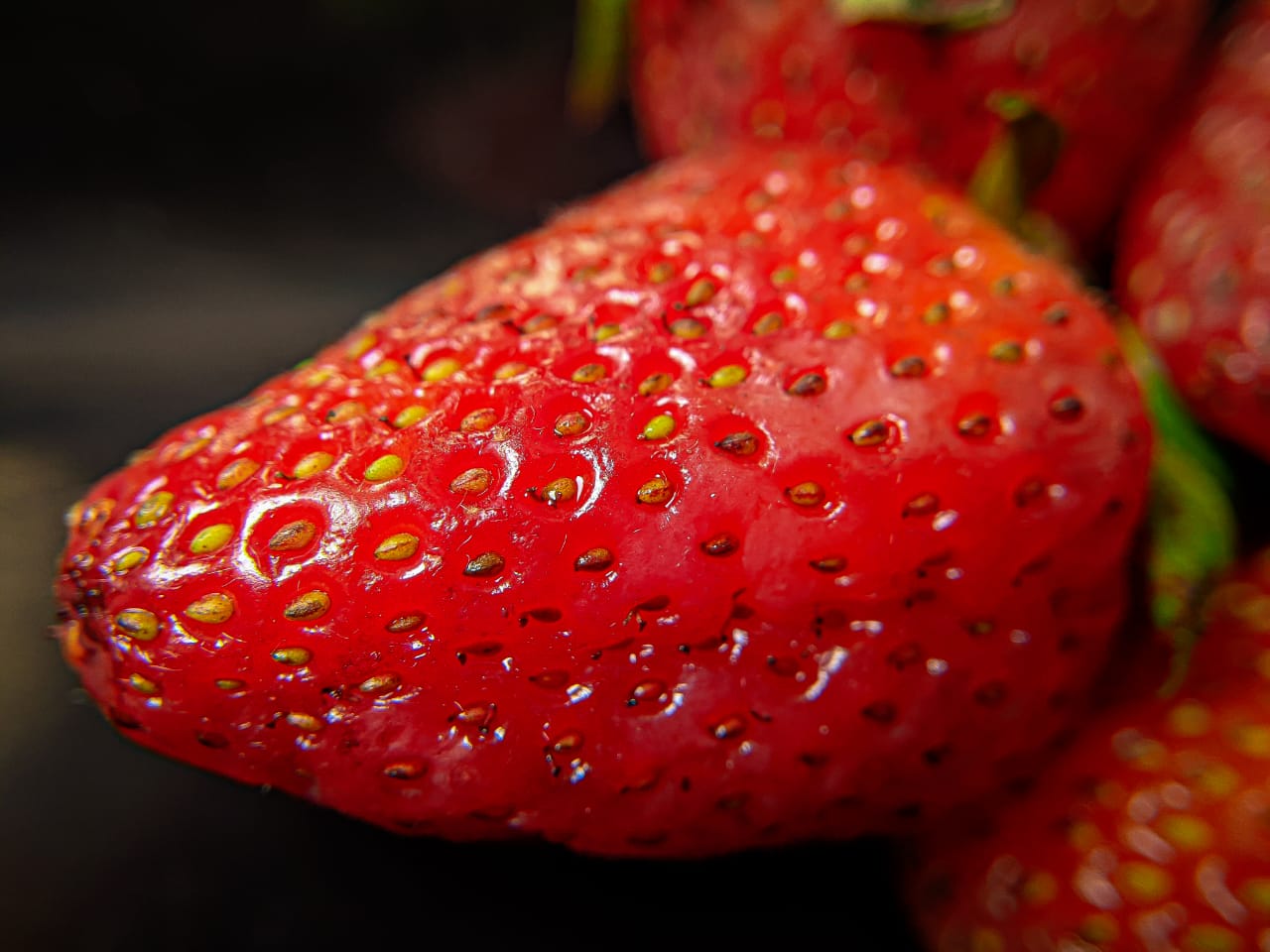 strawberry (1).jpeg