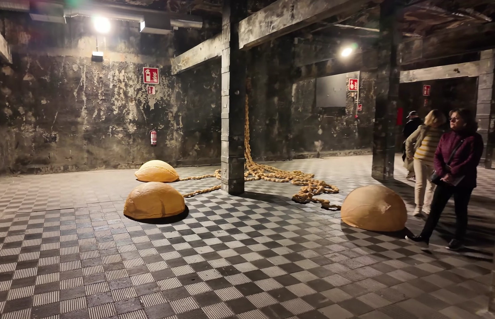479.jpg