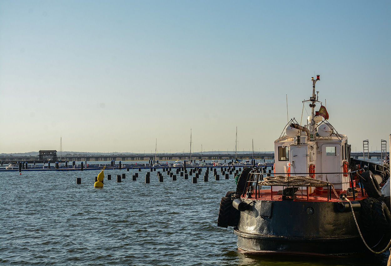 DSC_7460.JPG