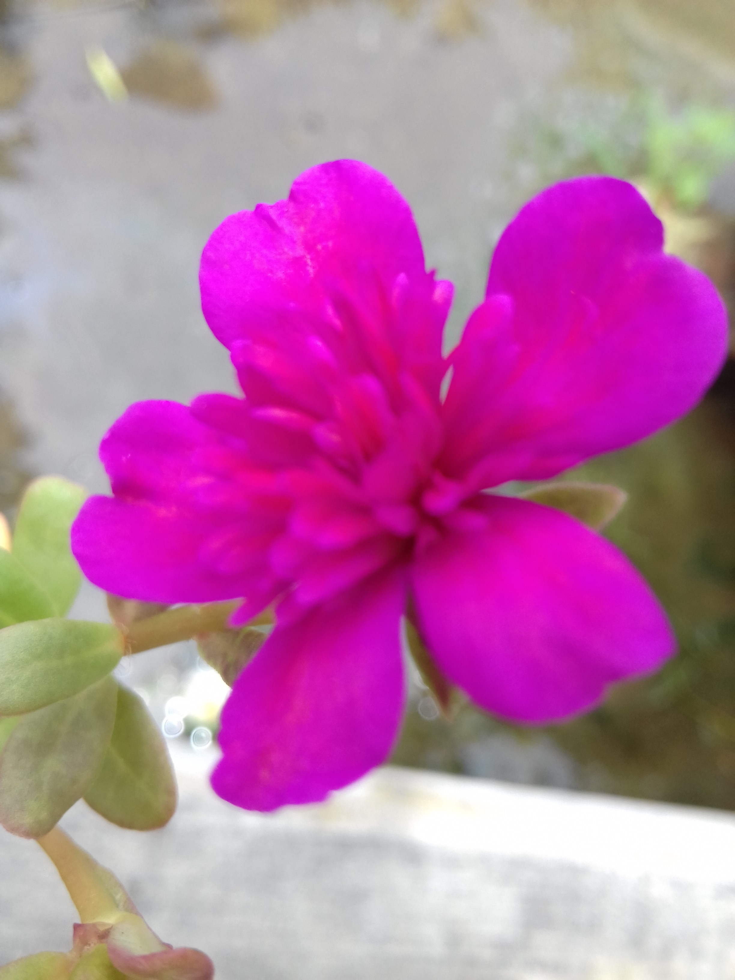 20190712_113510.jpg