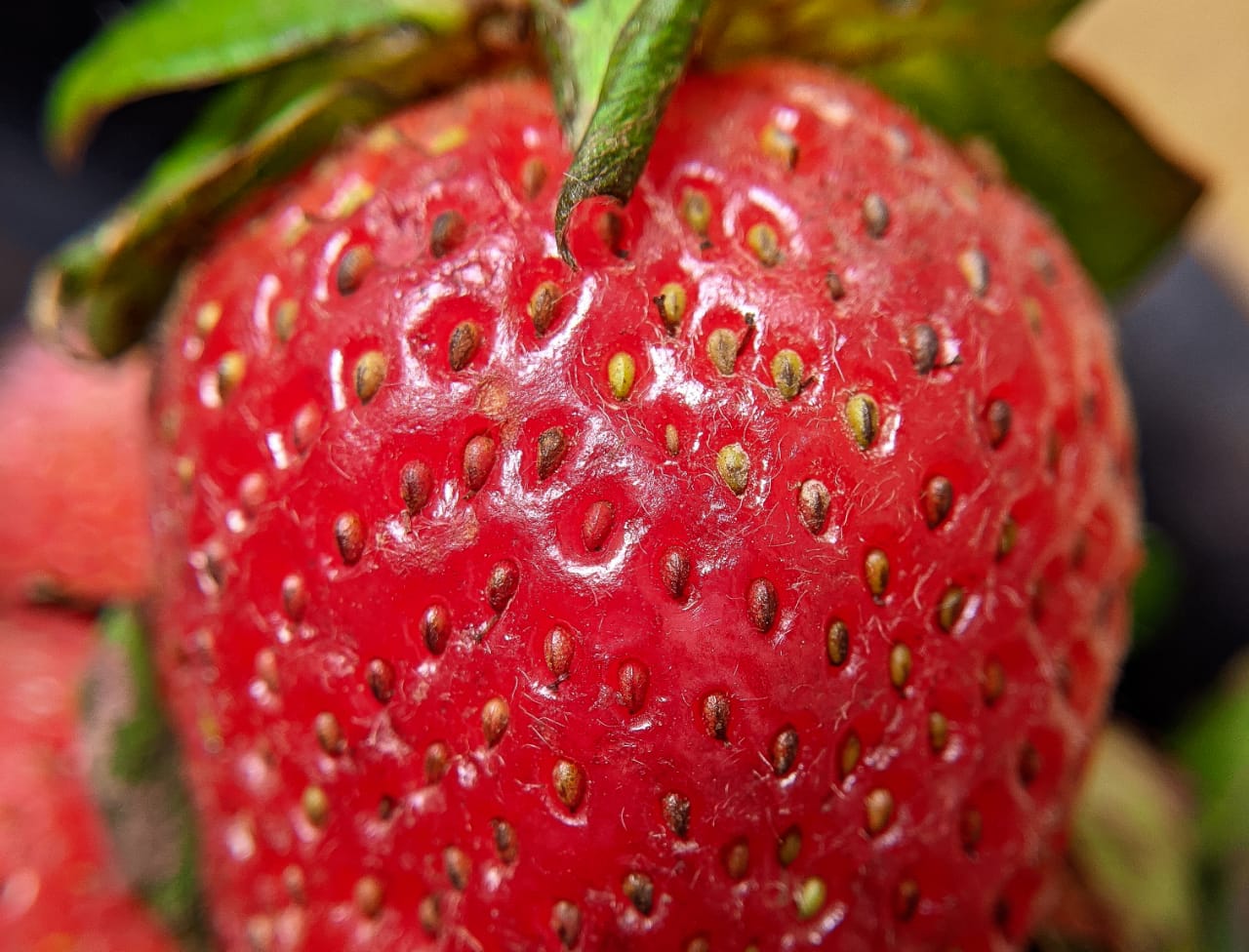 strawberry (3).jpeg