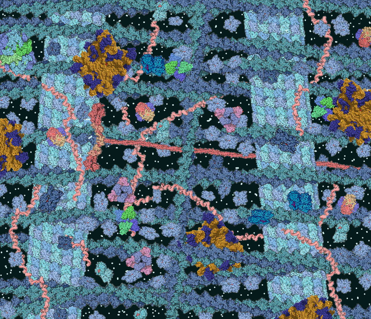 Crowded_cytosol.png