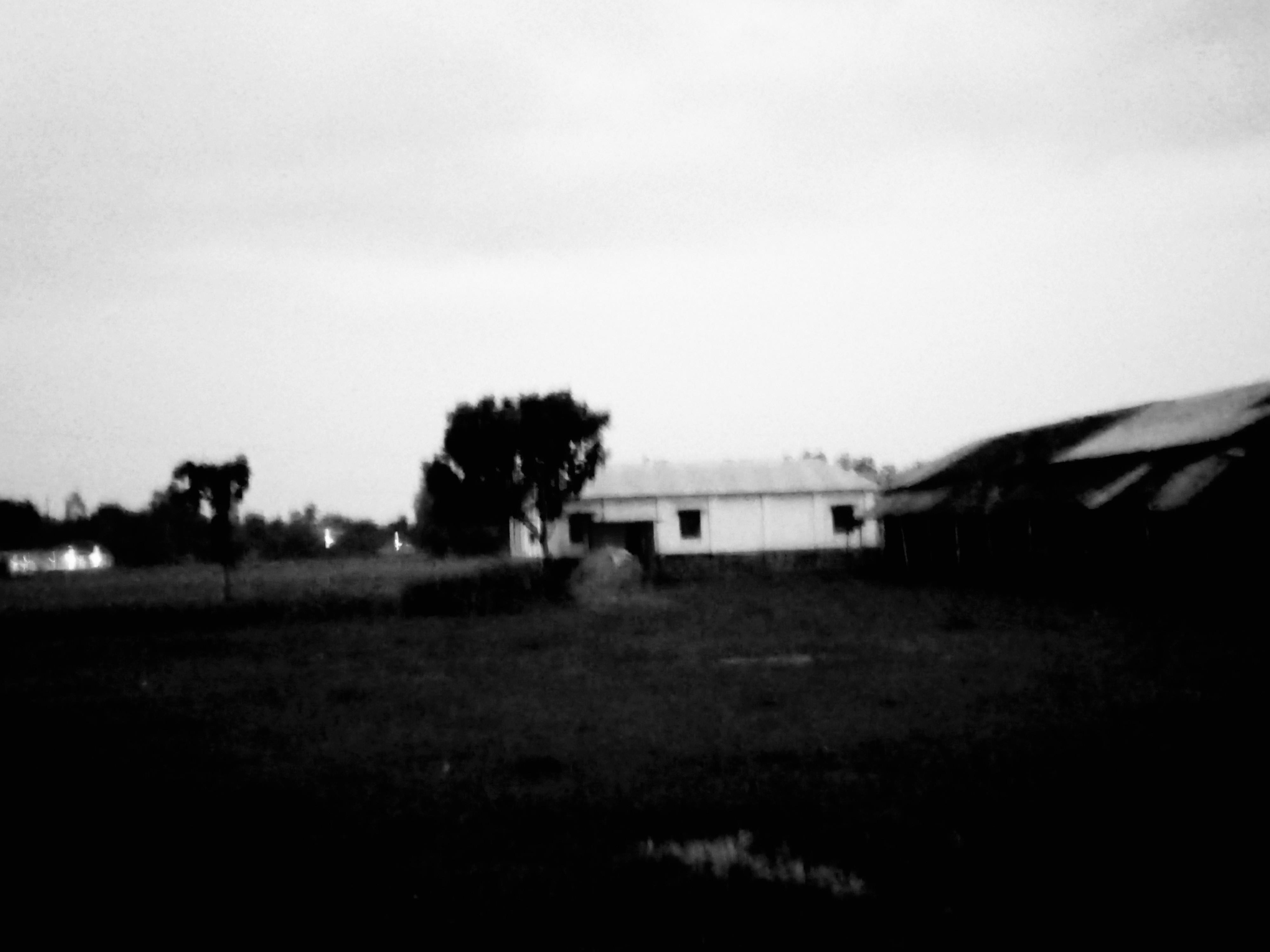 20250801_190758~4.jpg