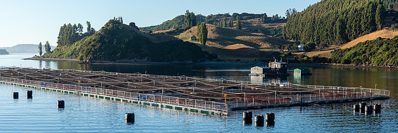 800px-2019-03-16_01_Aquaculture_in_Chile.jpg