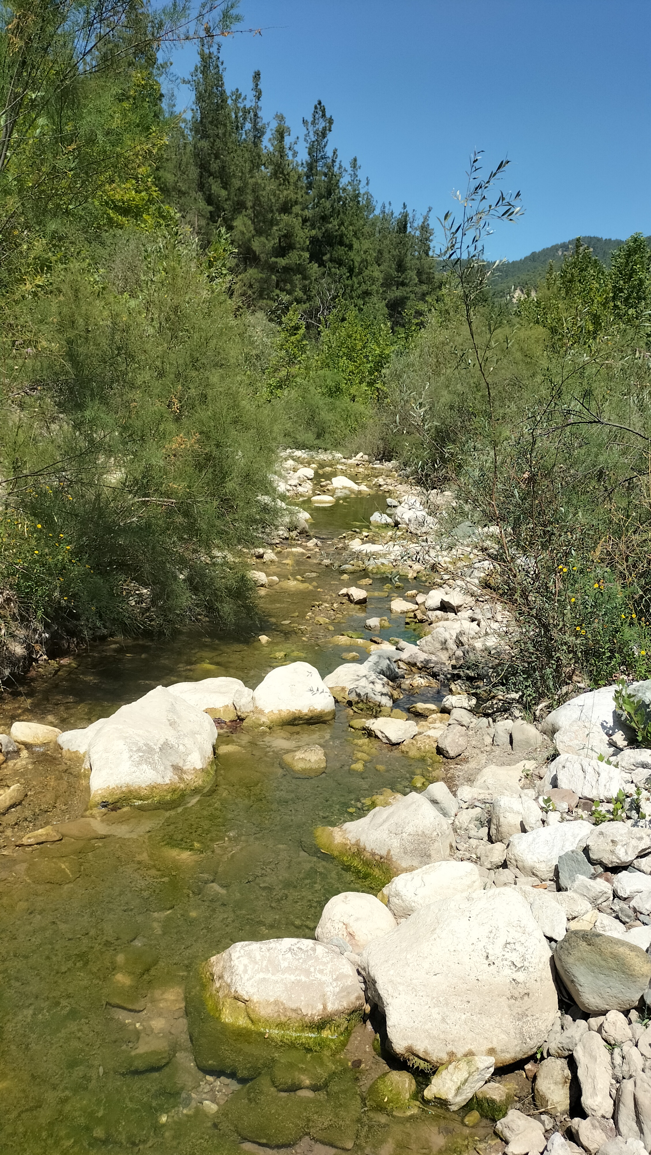 IMG20250831130926.jpg