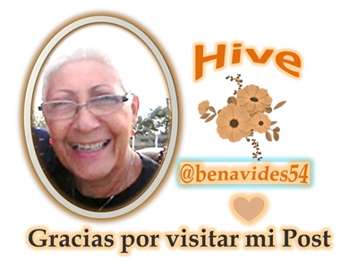 GRACIAS POR VISITAR MI POST 1 Español Hive.jpg