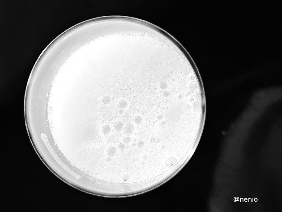 beer-foam-001-bw.jpg