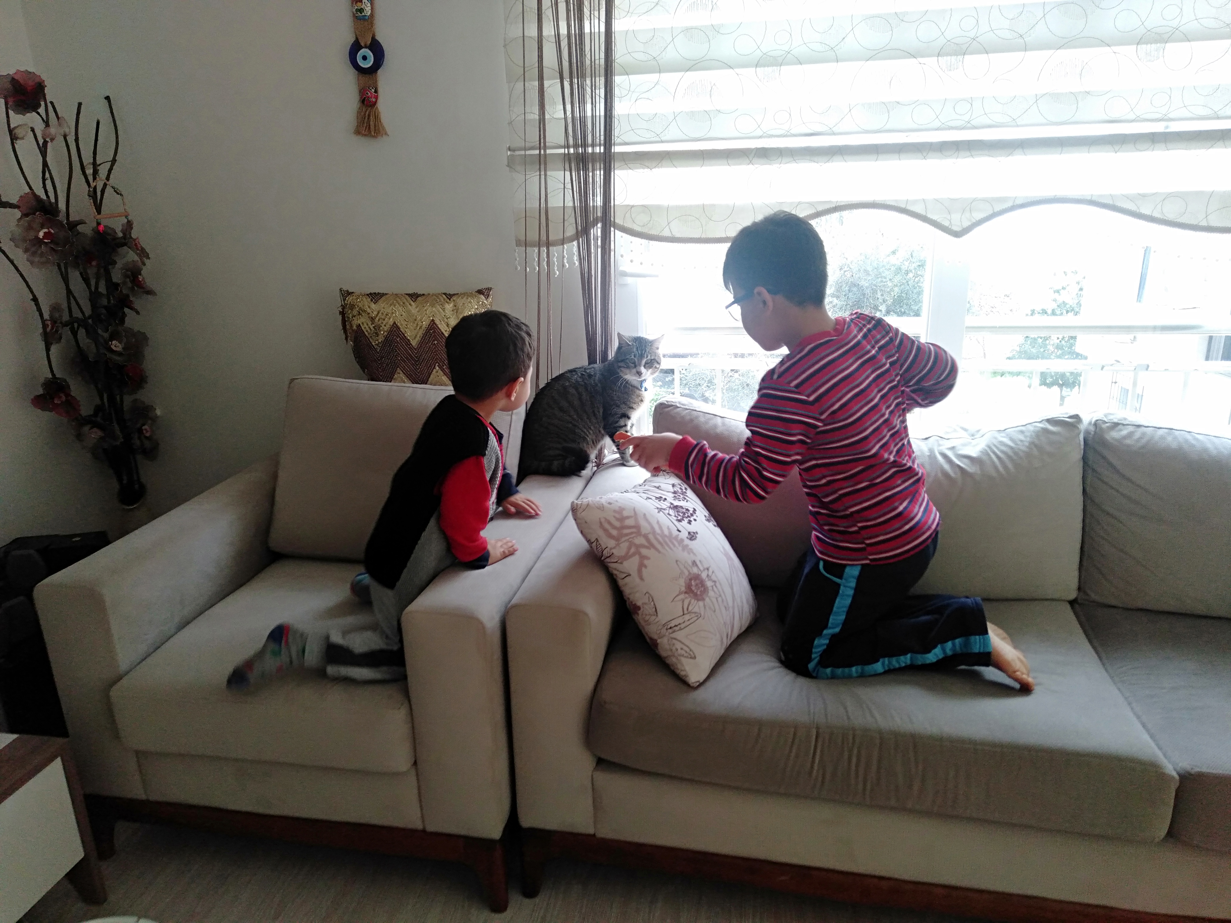 IMG20220227121950.jpg